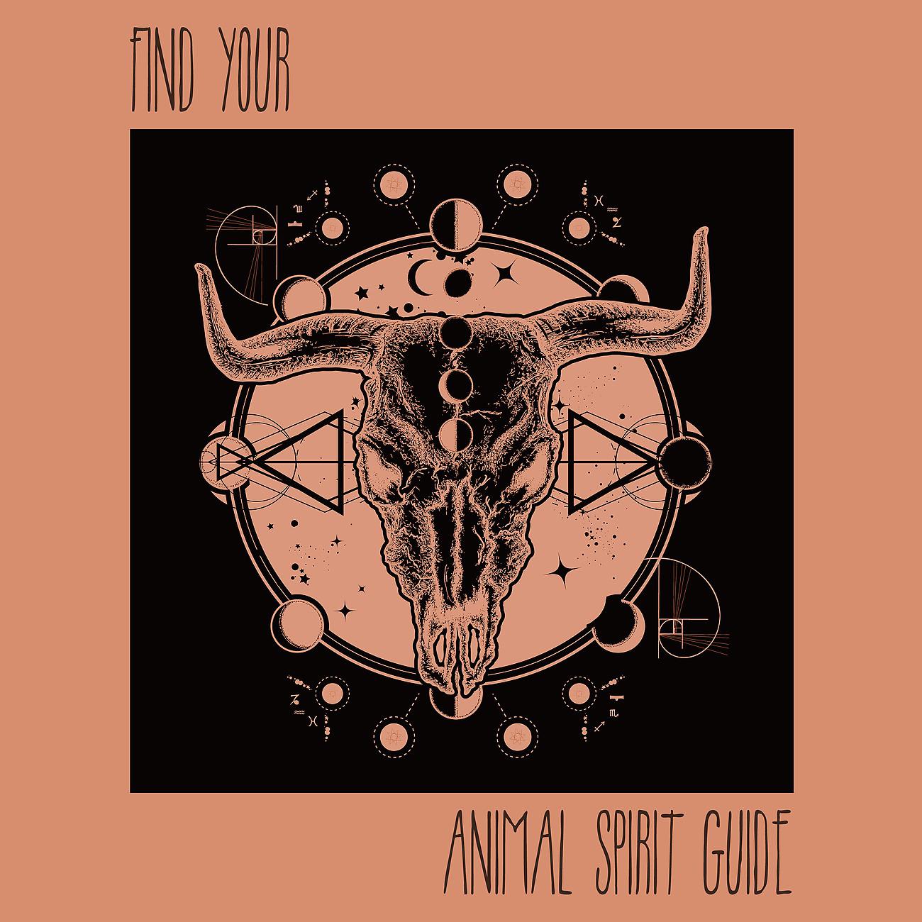 Постер альбома Find Your Animal Spirit Guide