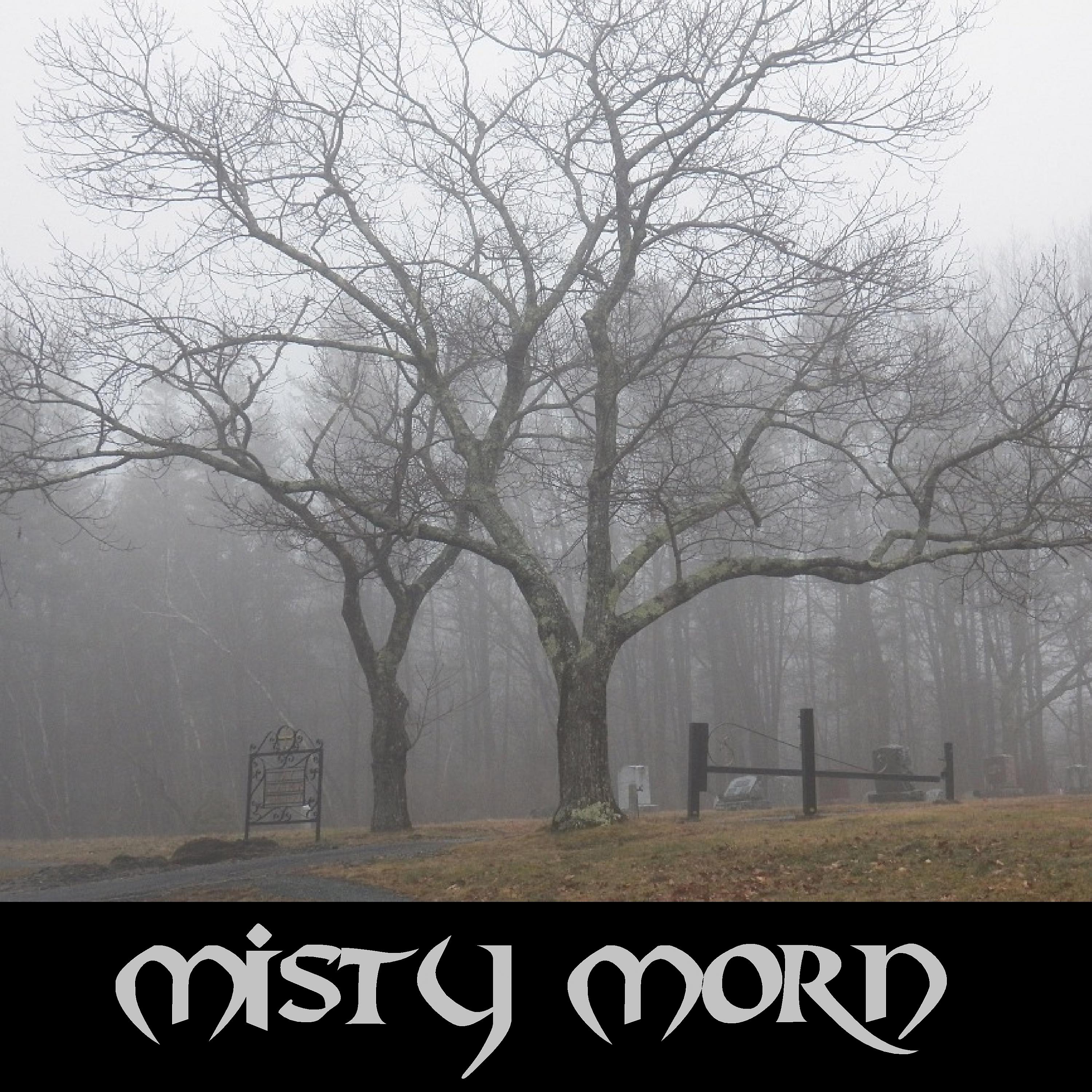 Постер альбома Misty Morn