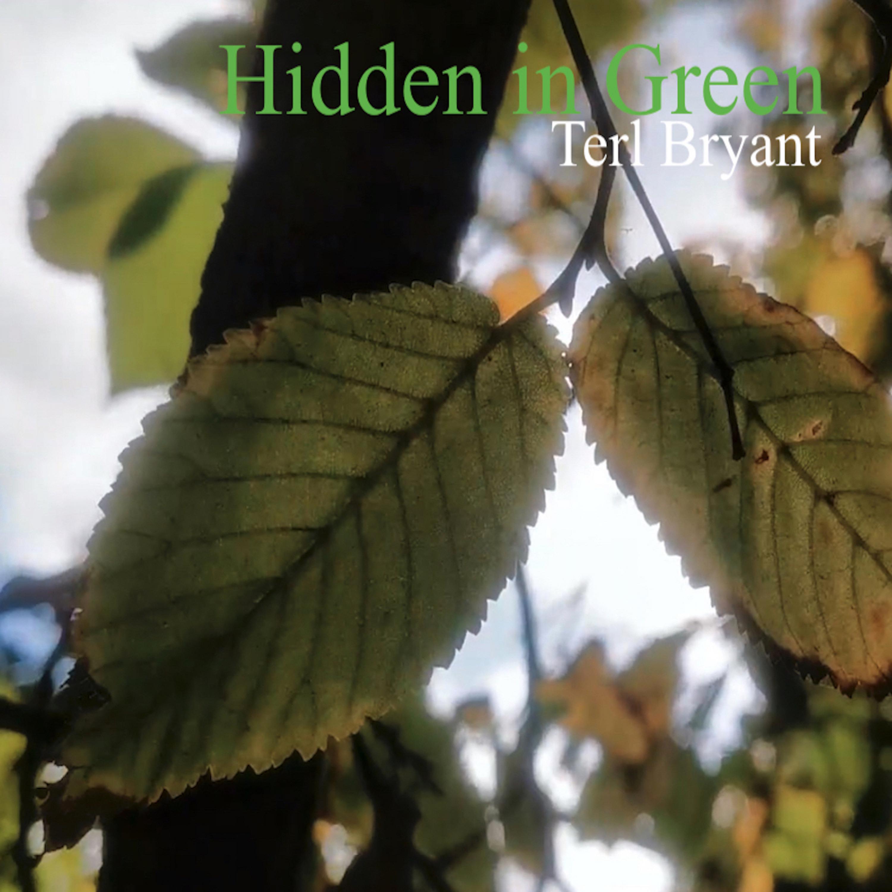 Постер альбома Hidden In Green