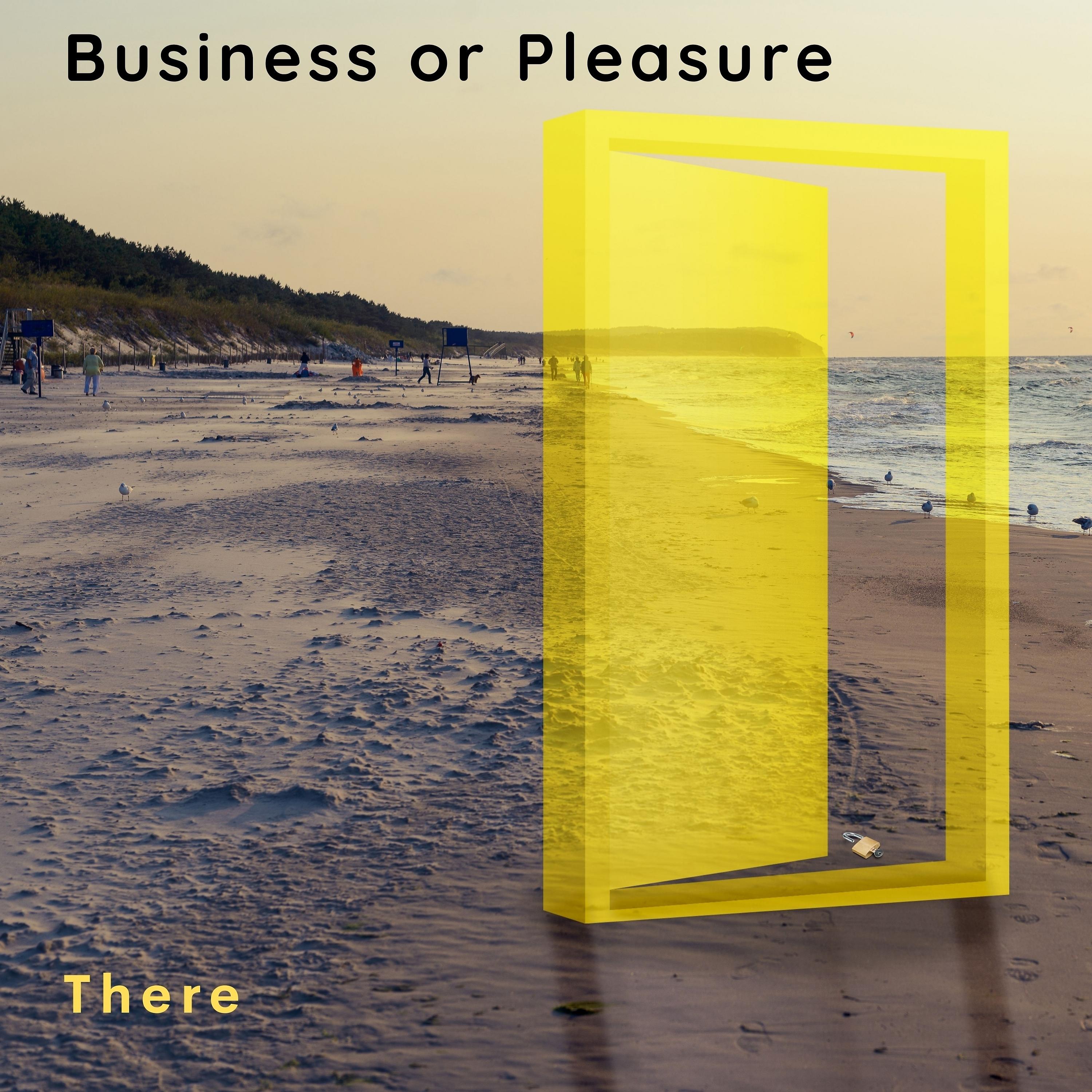 Постер альбома Business or Pleasure
