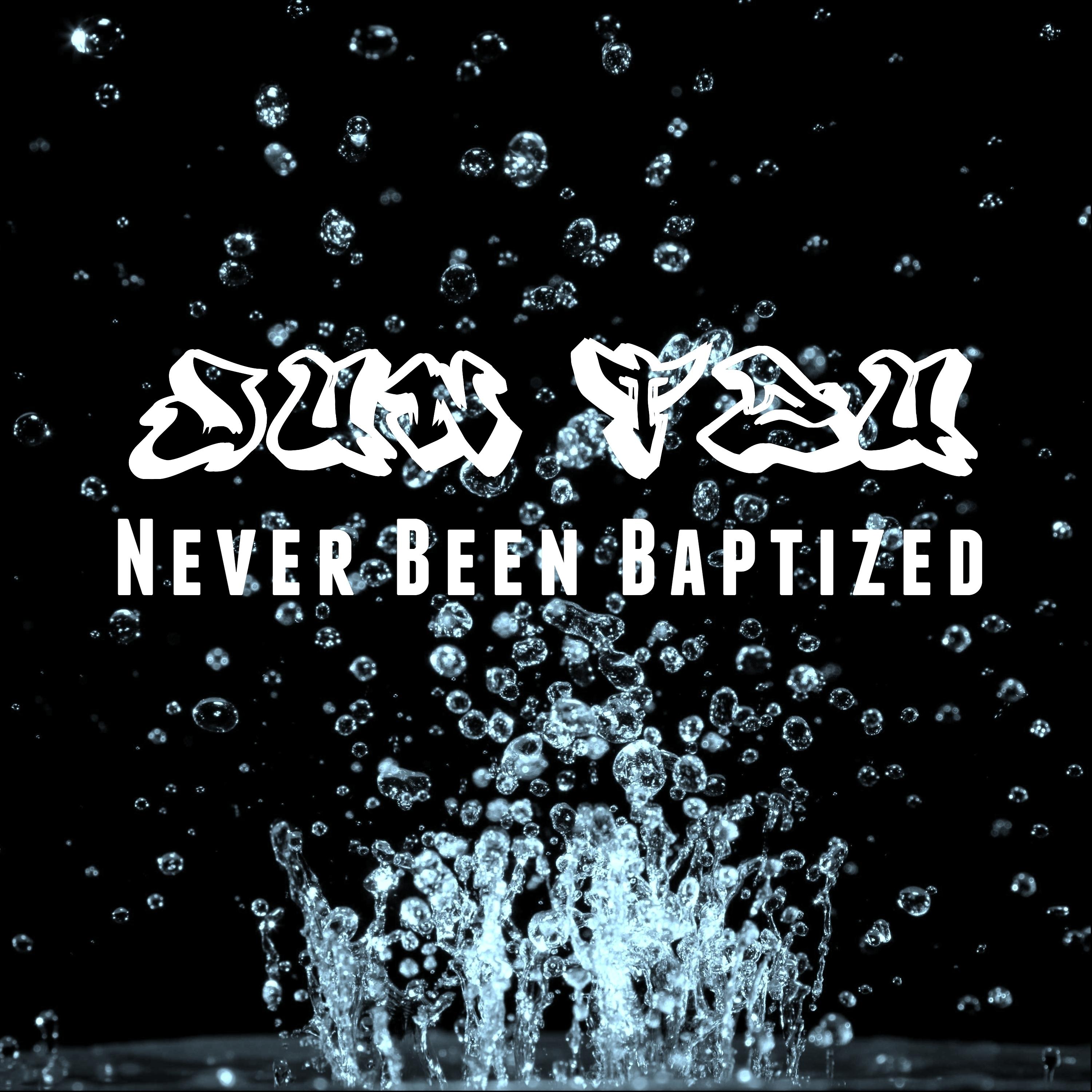Постер альбома Never Been Baptized