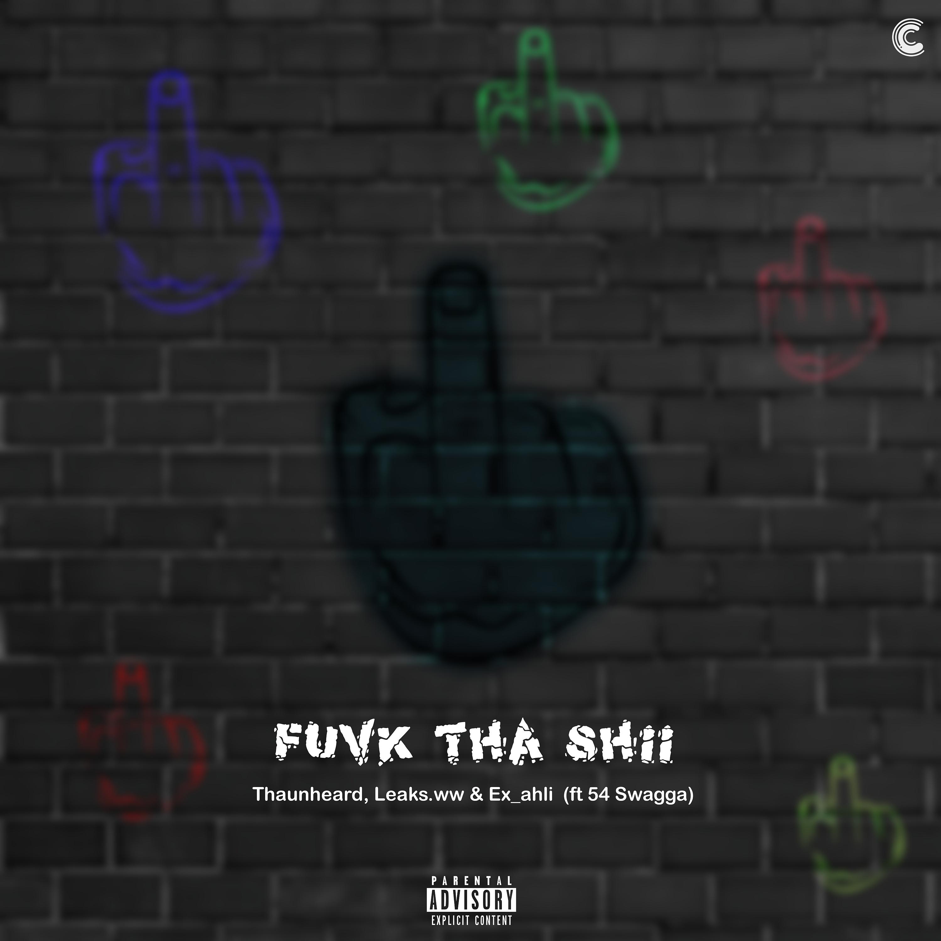 Постер альбома Fuvk Tha Shii