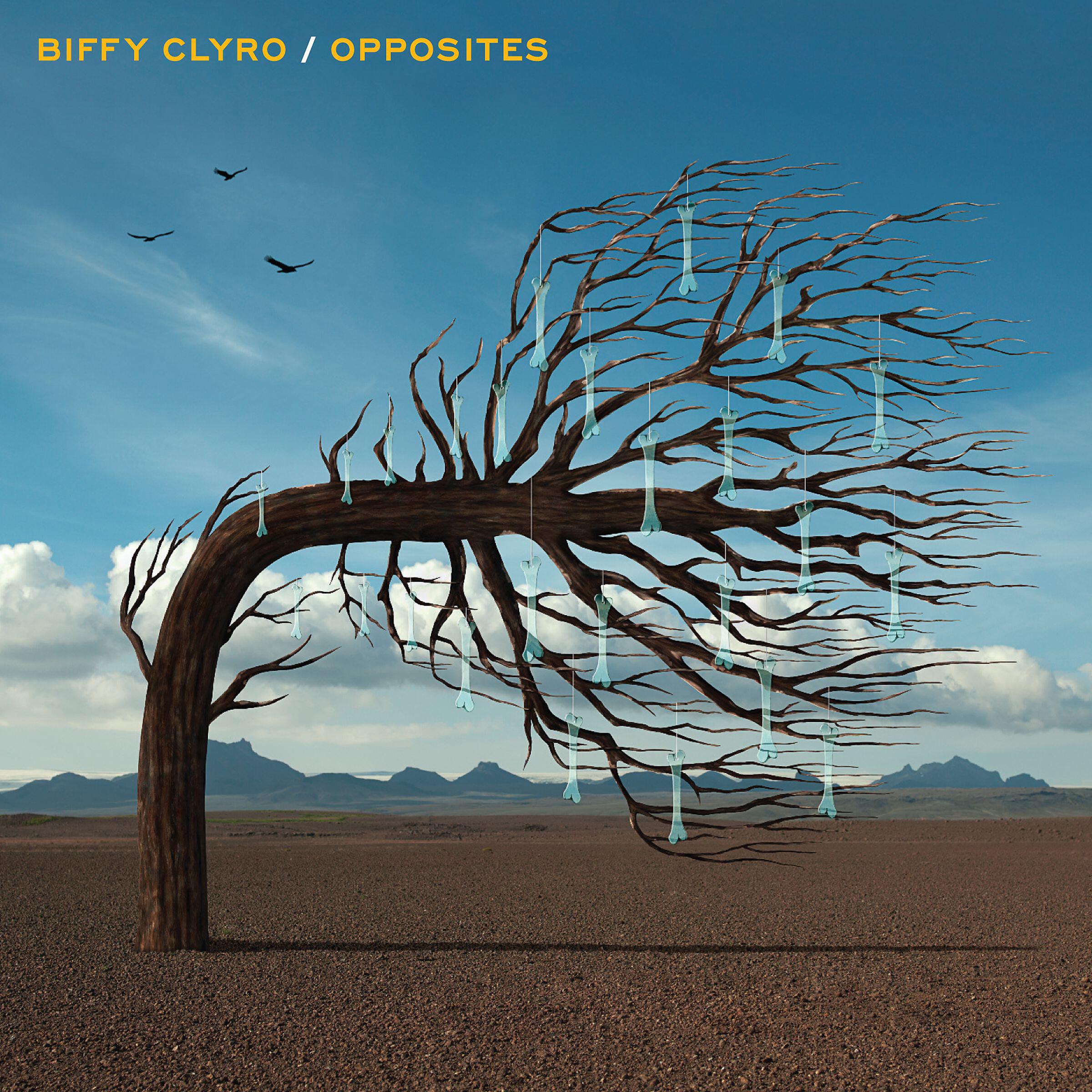 Biffy Clyro - The Thaw