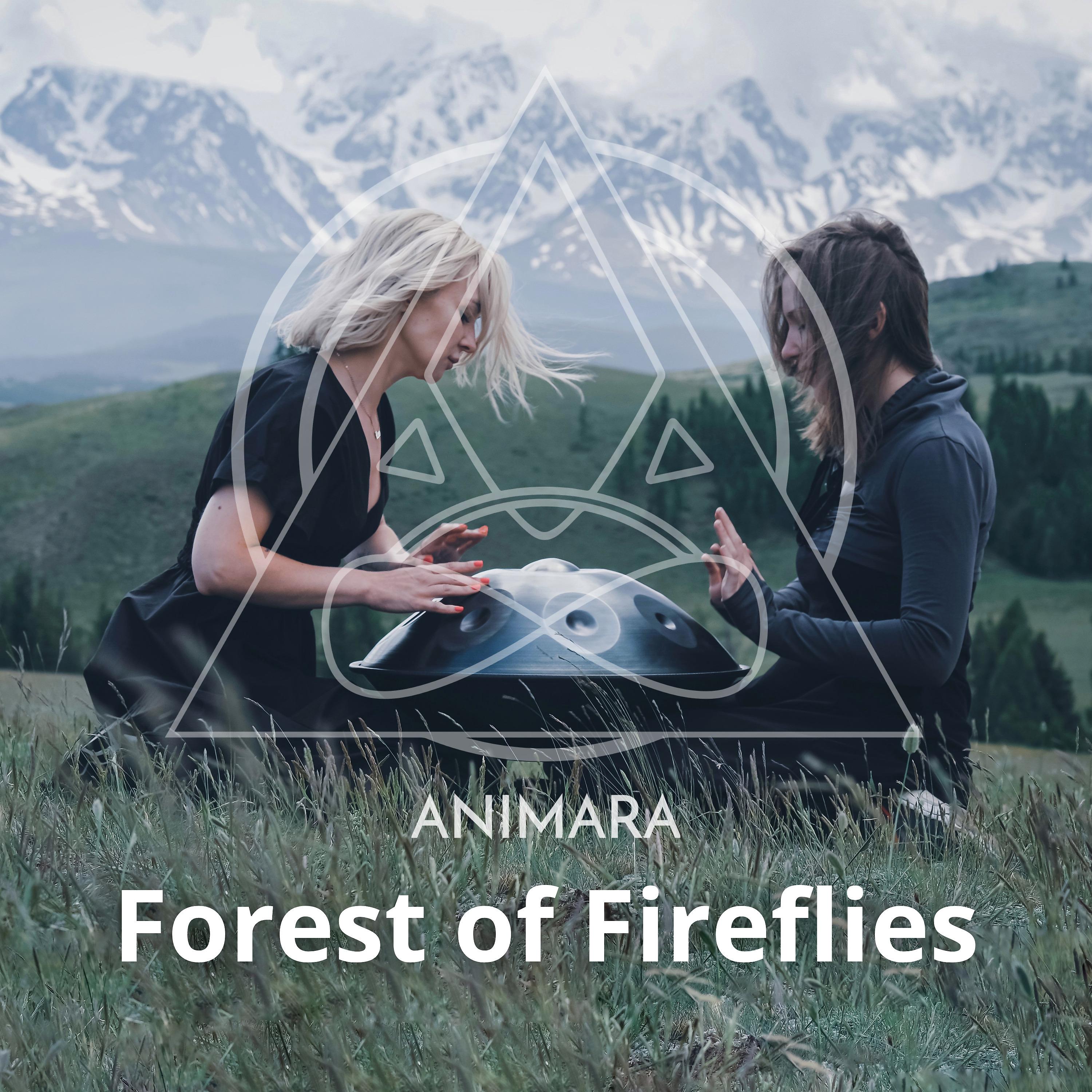Постер альбома Forest of Fireflies
