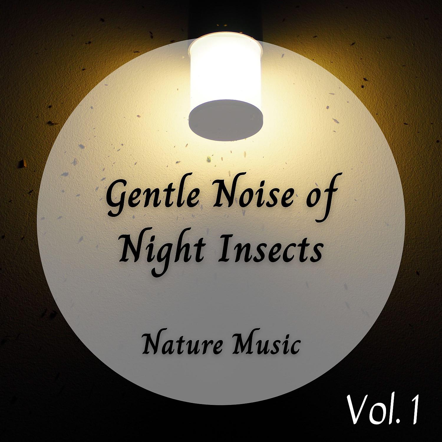 Постер альбома Nature Music: Gentle Noise of Night Insects - 1 Hour