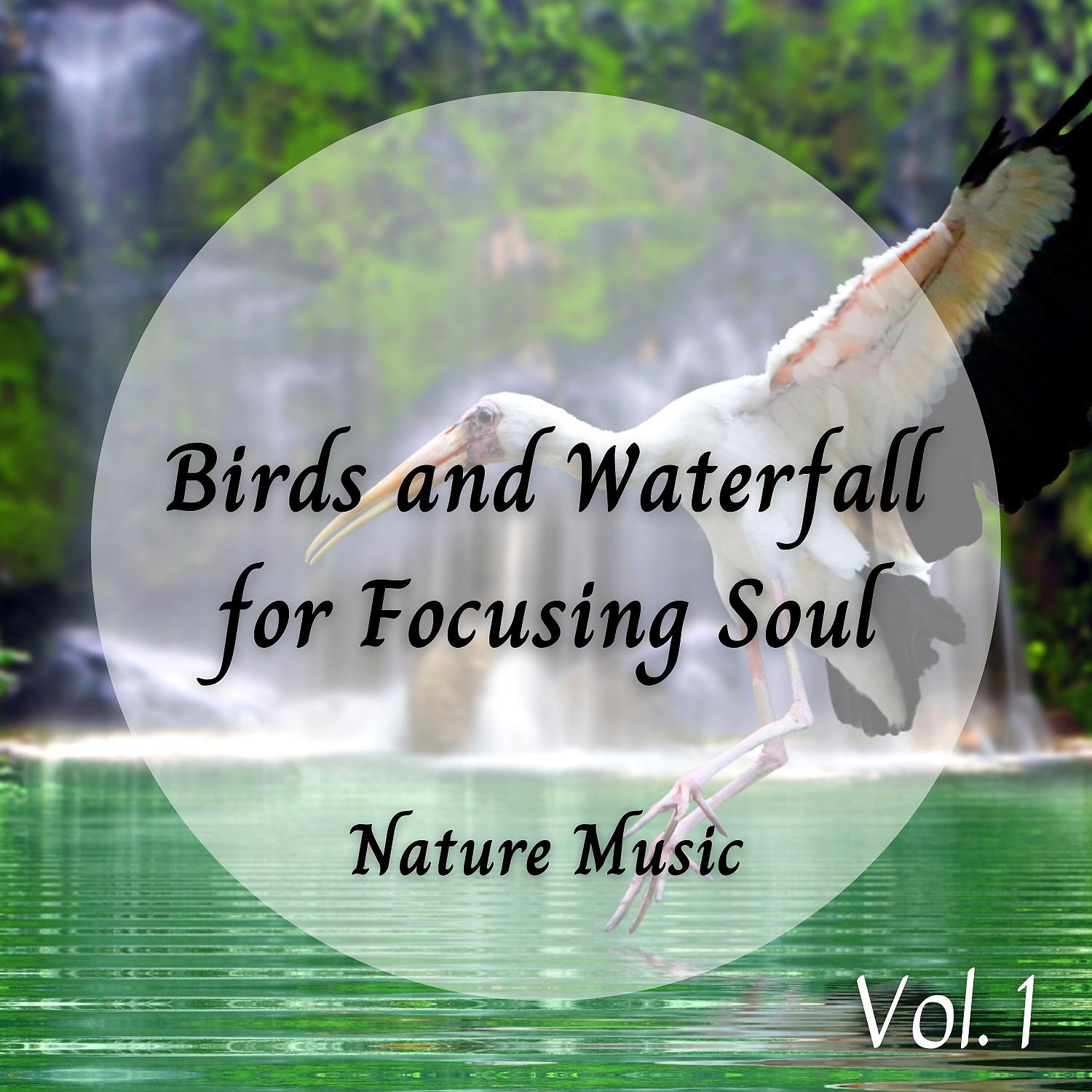 Постер альбома Meditation Music: Birds and Waterfall for Focusing Soul Vol. 1