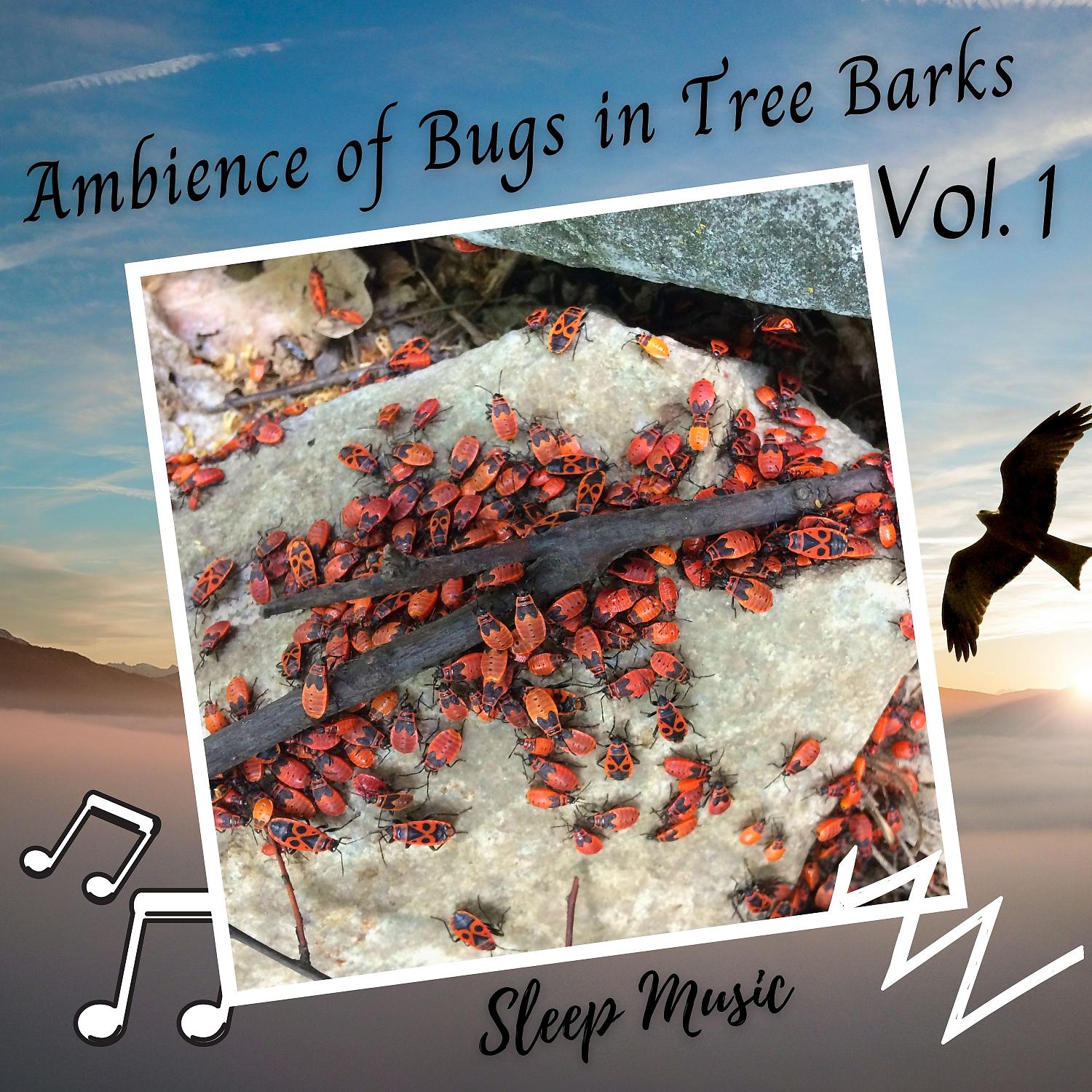 Постер альбома Sleep Music: Ambience of Bugs in Tree Barks Vol. 1