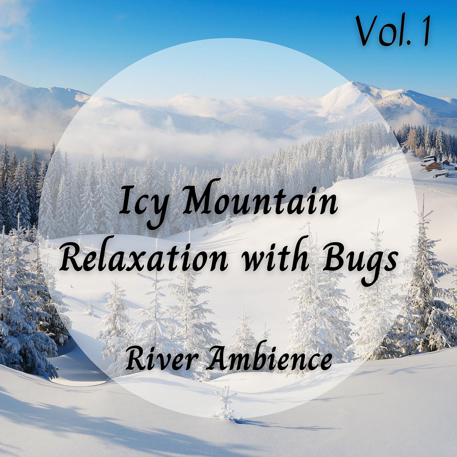 Постер альбома Nature Sound: Icy Mountain Relaxation with Bugs Vol. 1