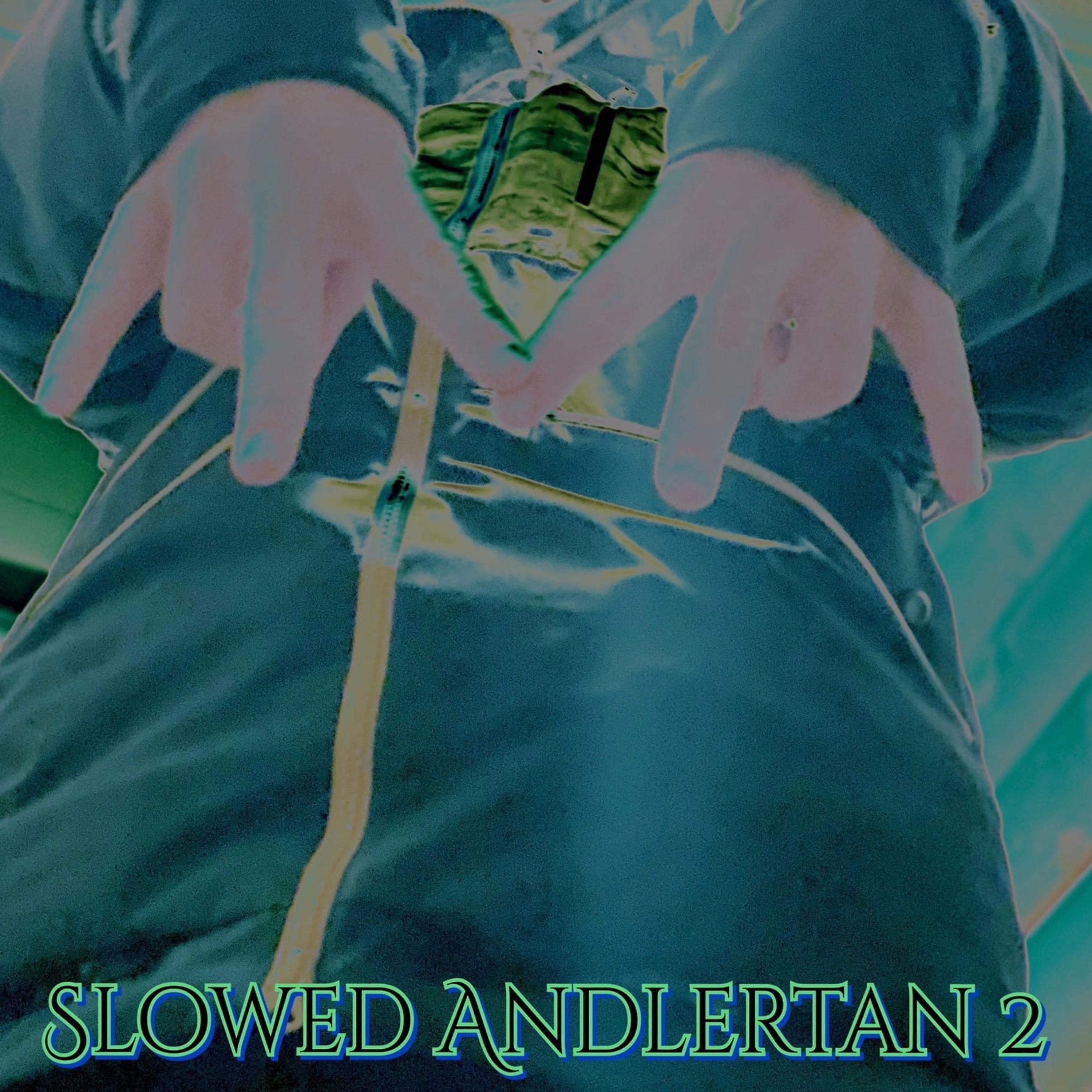 Постер альбома Slowed Andlertan 2