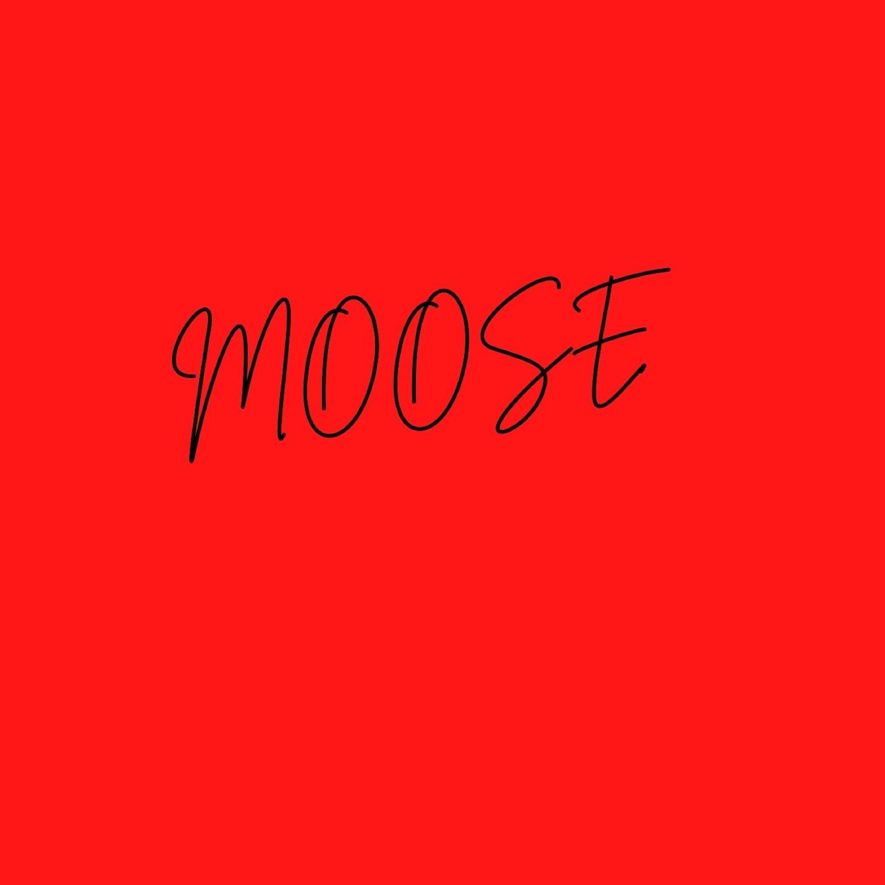 Постер альбома Moose