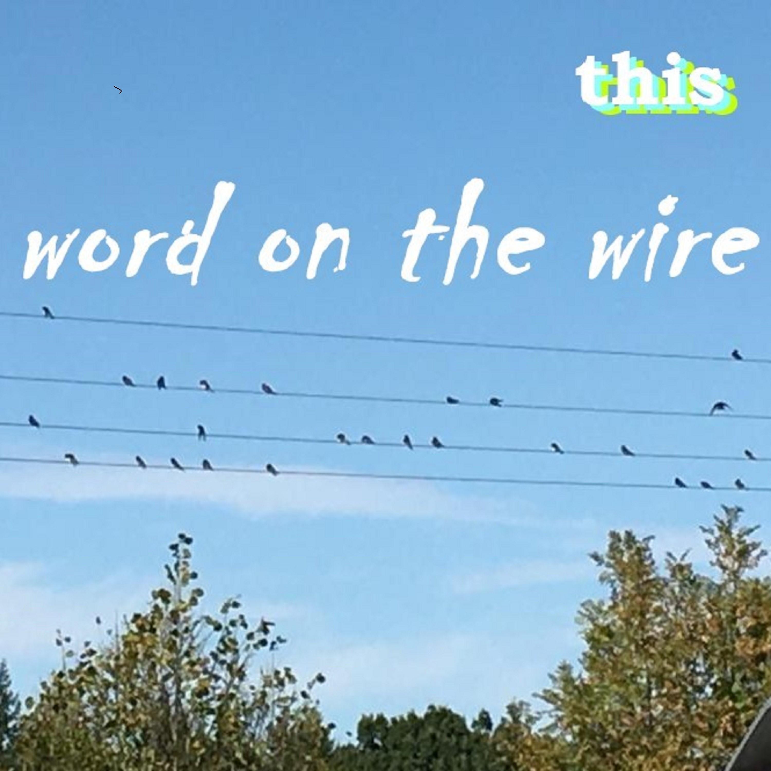Постер альбома Word on the Wire