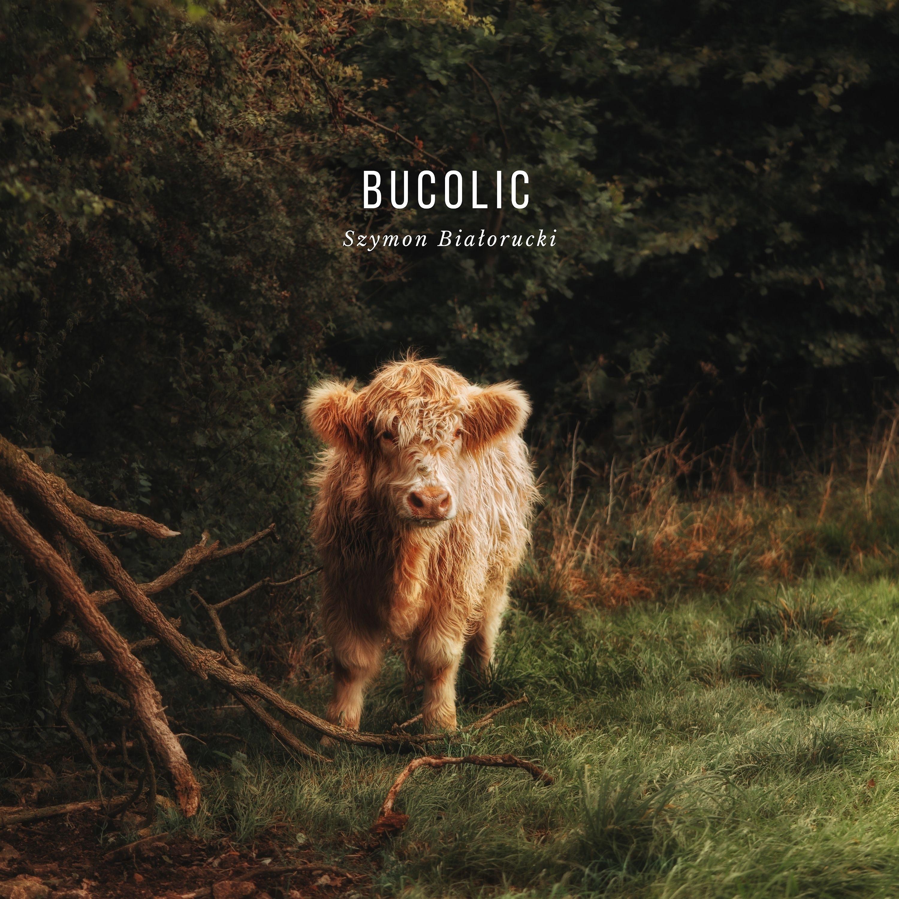 Постер альбома Bucolic