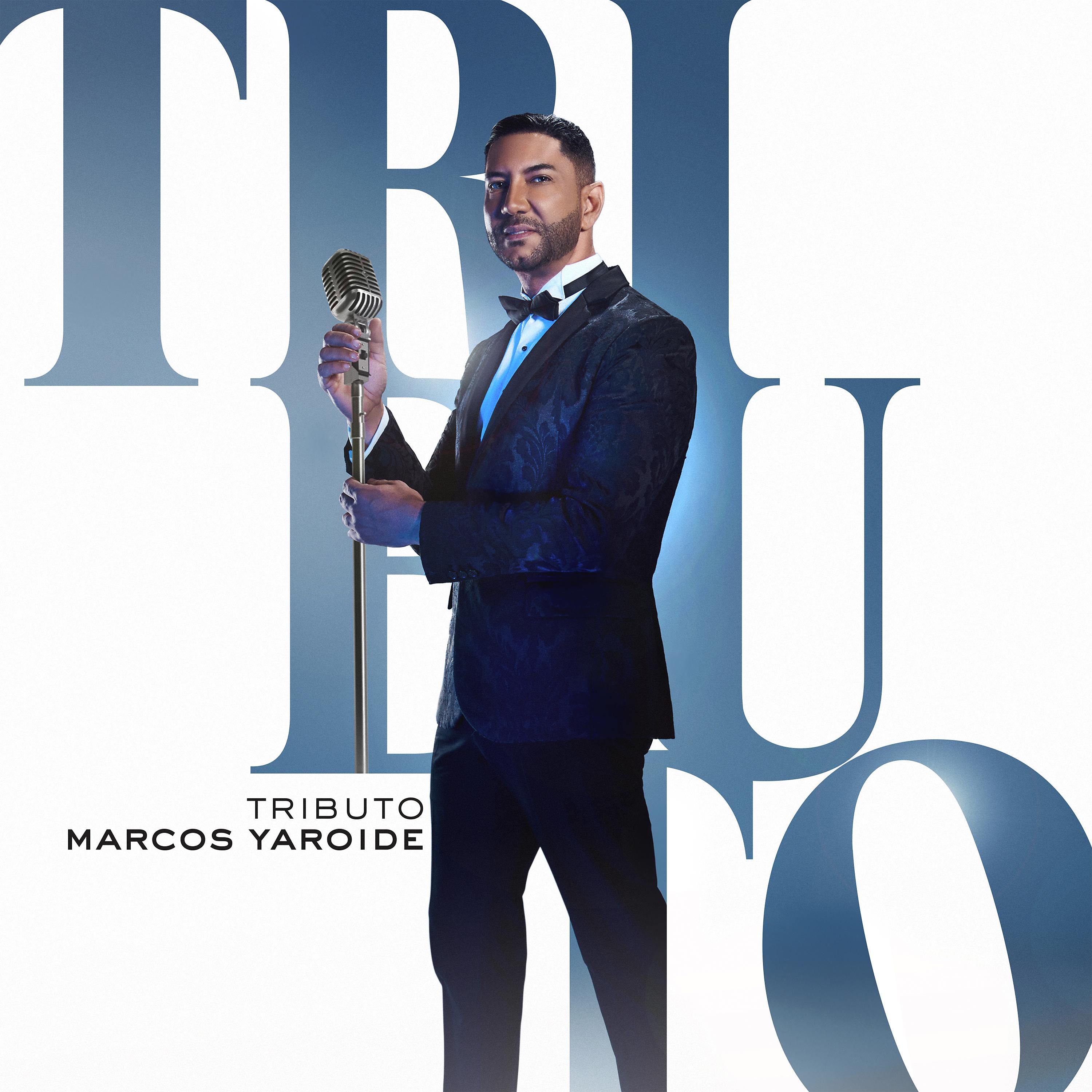 Постер альбома Tributo