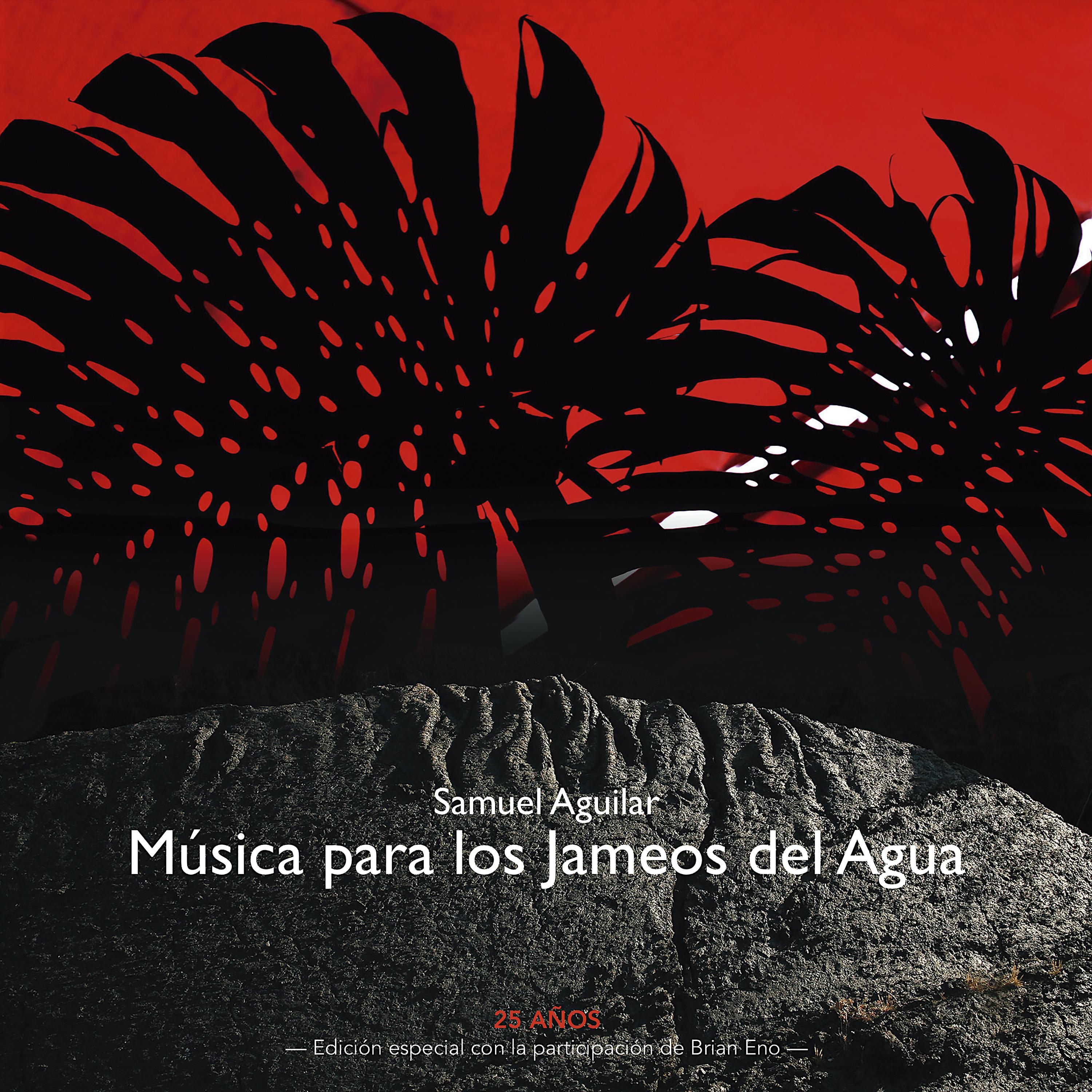 Постер альбома Música para los Jameos del Agua (Edición Especial 25 Años)