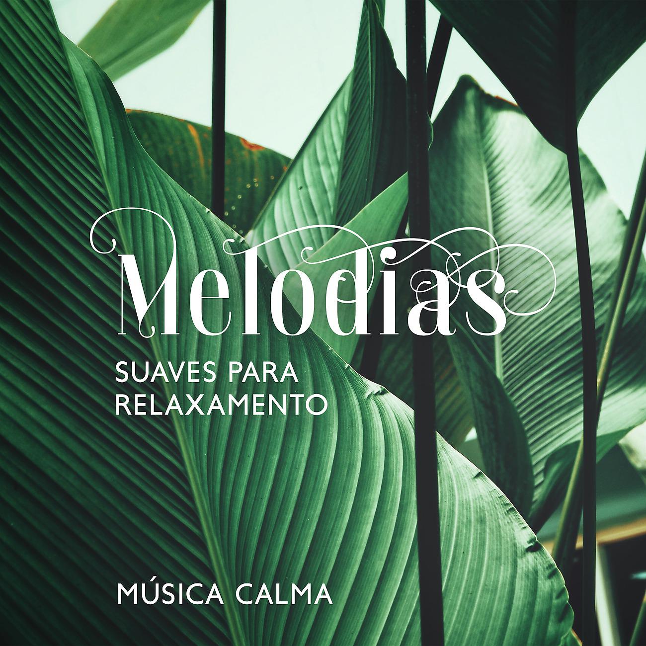 Постер альбома Melodias Suaves para Relaxamento