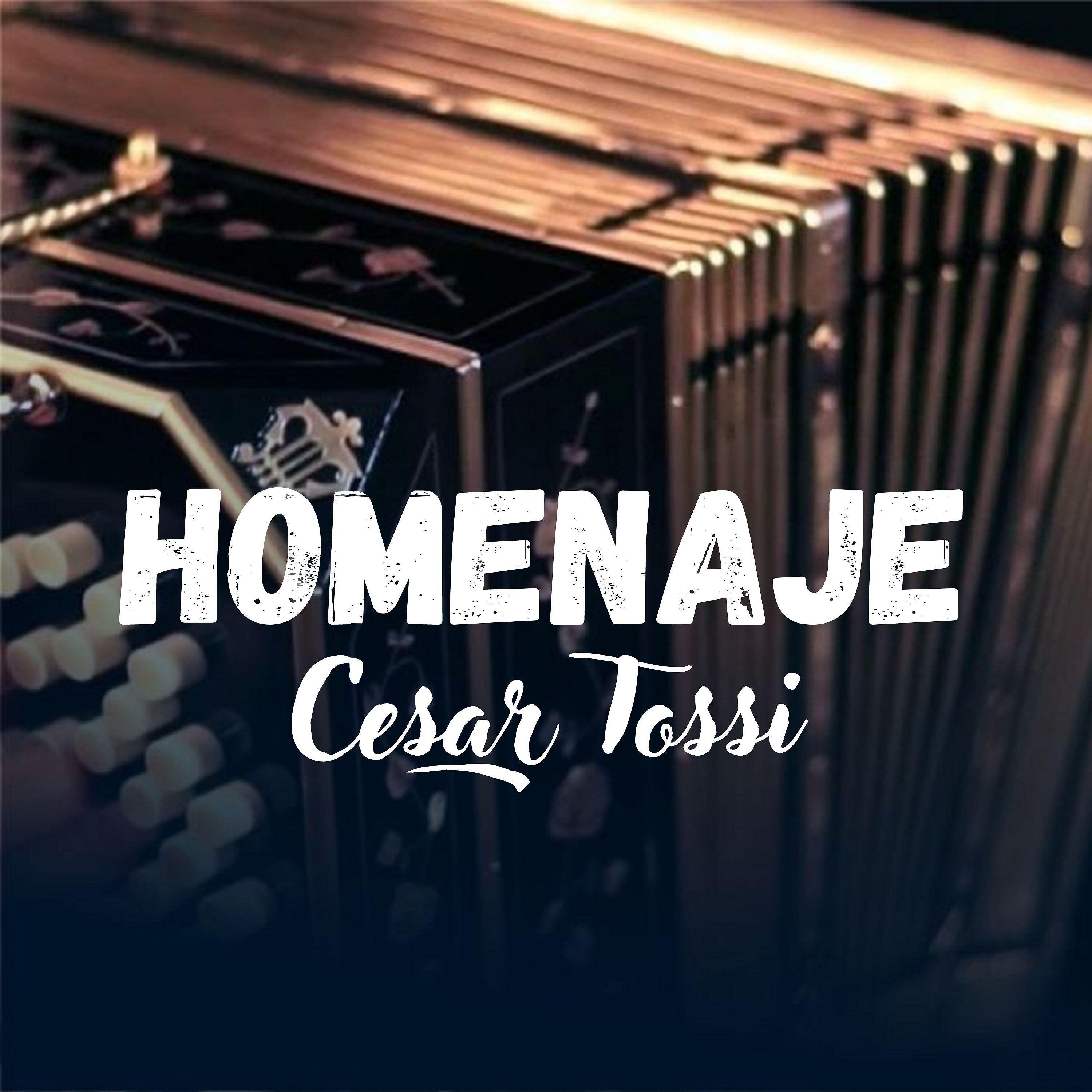 Cesar Tossi - No Me Hablen de Ella (Cover)