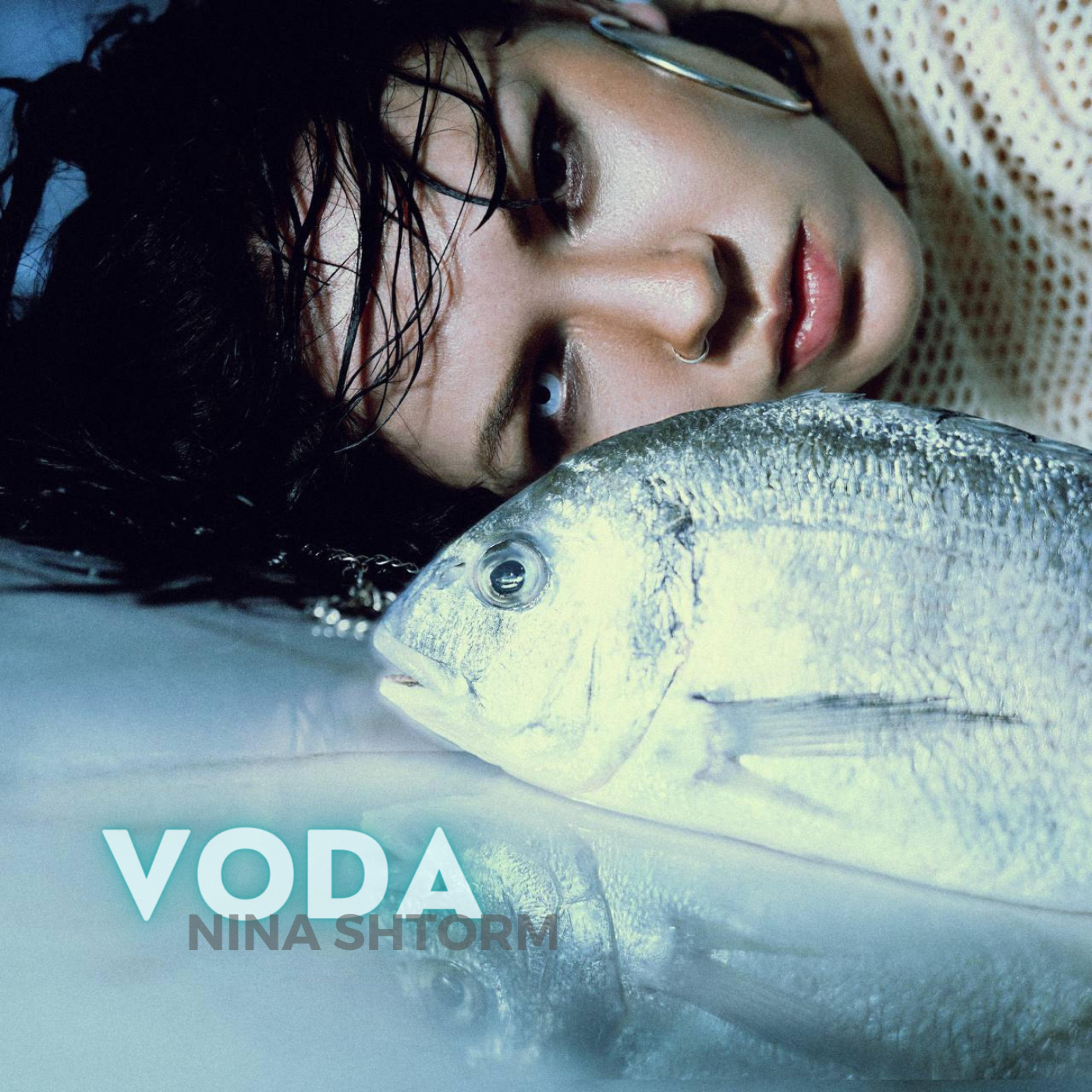 Постер альбома VODA