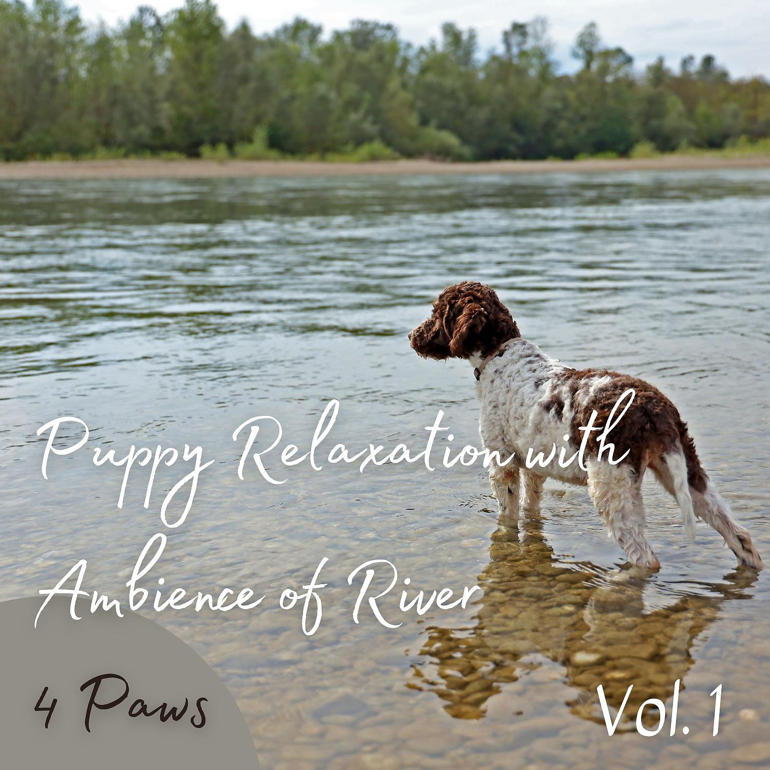 Постер альбома 4 Paws: Puppy Relaxation with Ambience of River Vol. 1