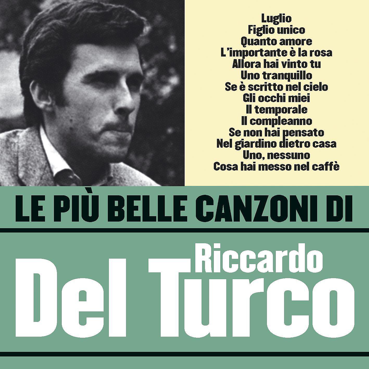 Постер альбома Le più belle canzoni di Riccardo Del Turco