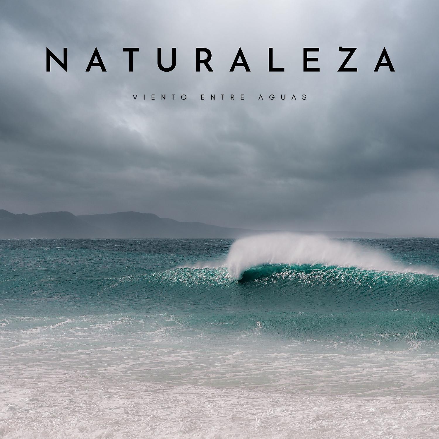 Постер альбома Naturaleza: Viento Entre Aguas