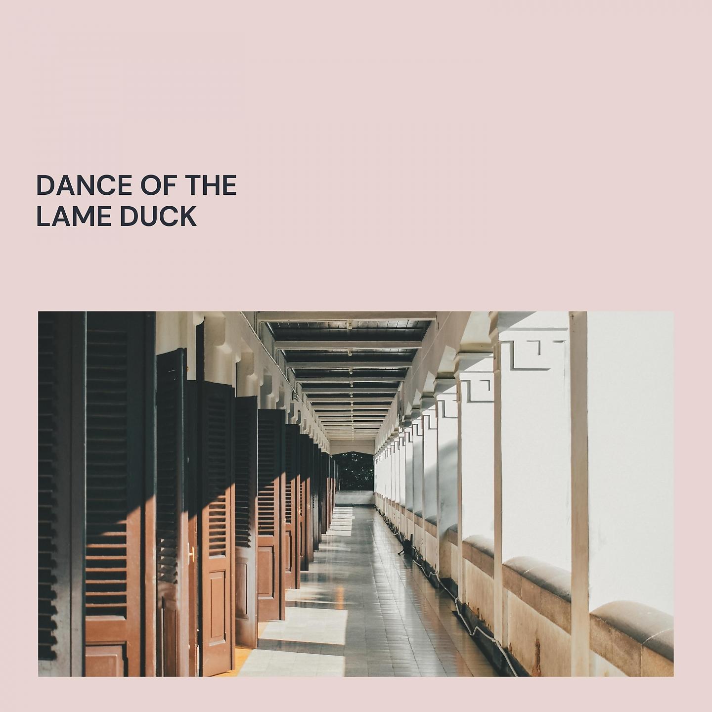 Постер альбома Dance of the Lame Duck