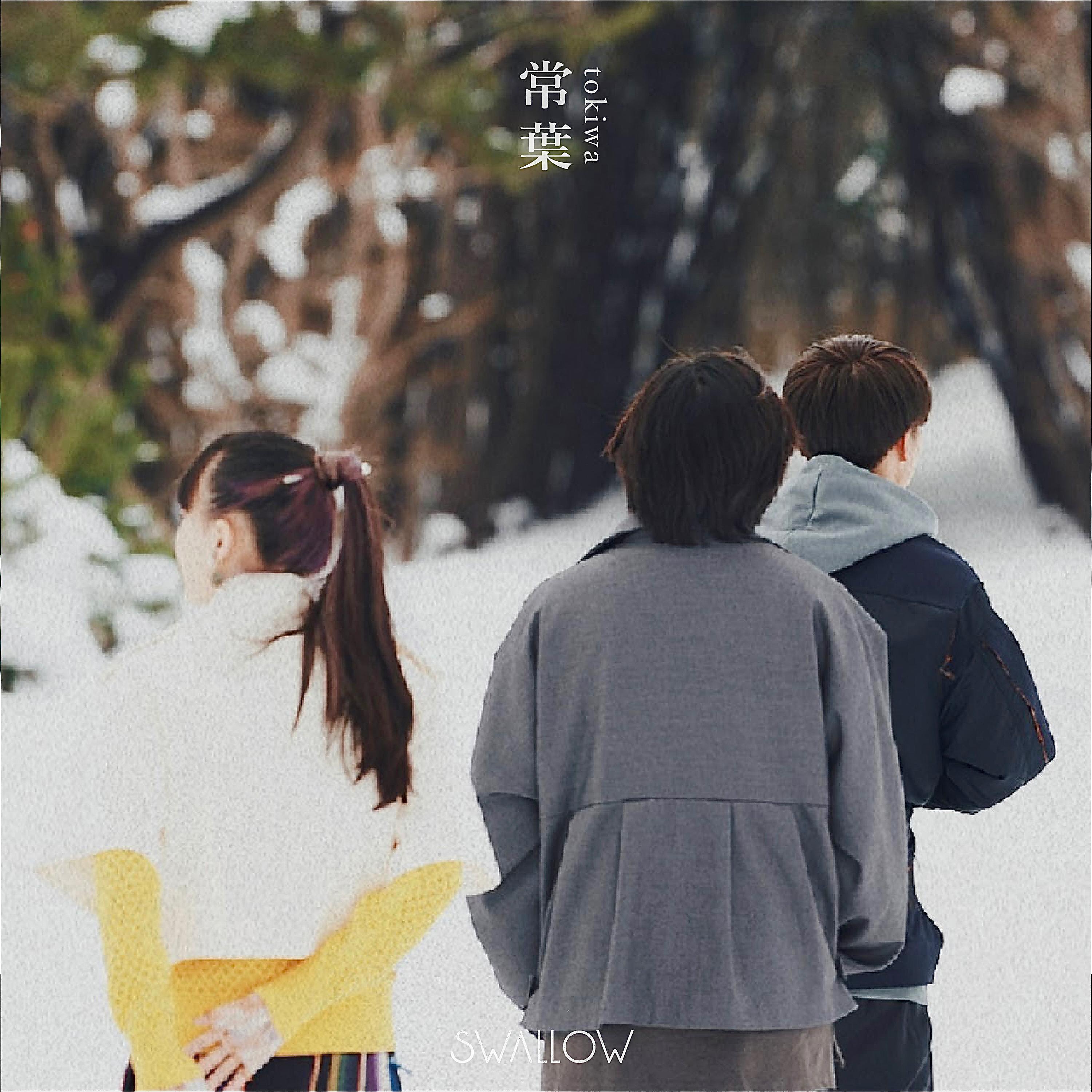 SWALLOW - Tokiwa
