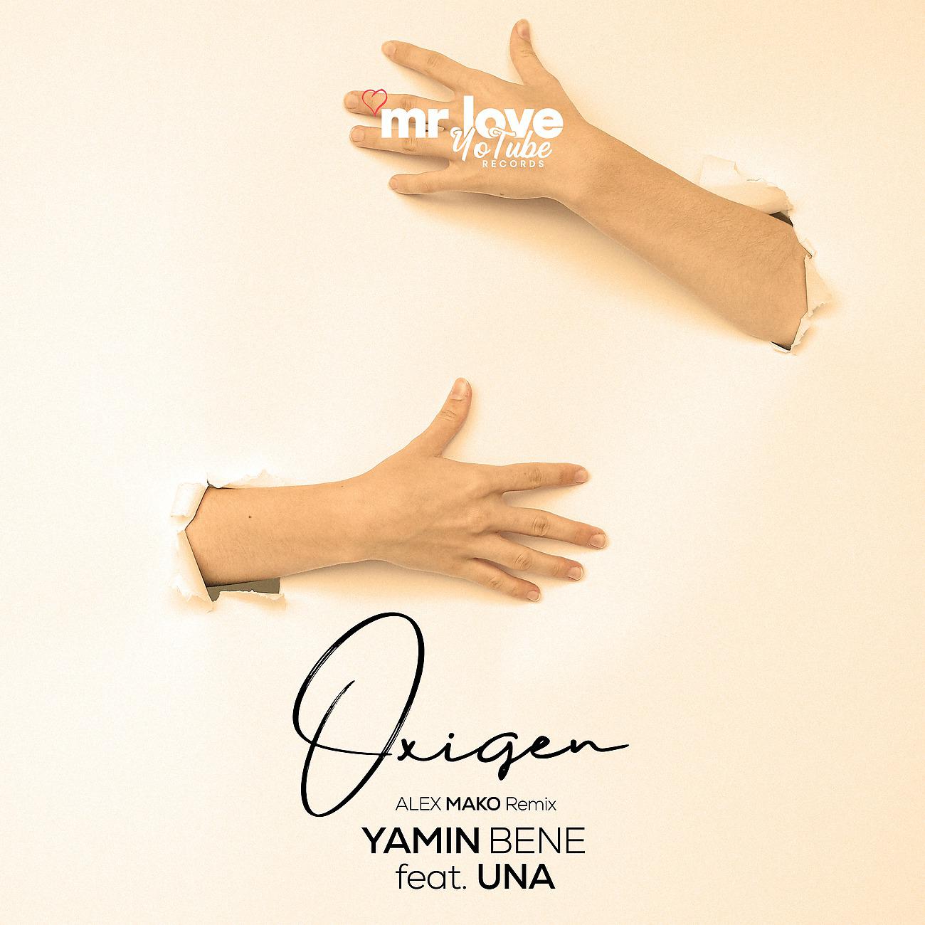Постер альбома Oxigen (Alex Mako Remix)