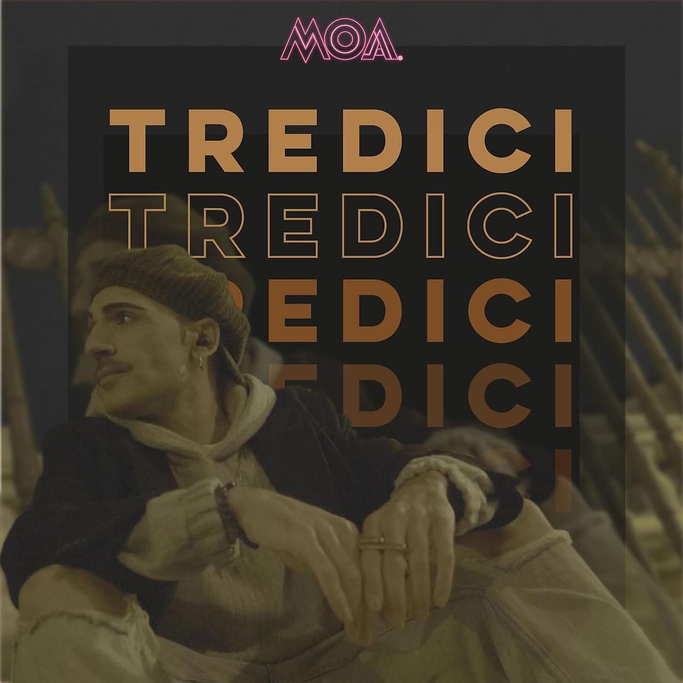 Постер альбома Tredici