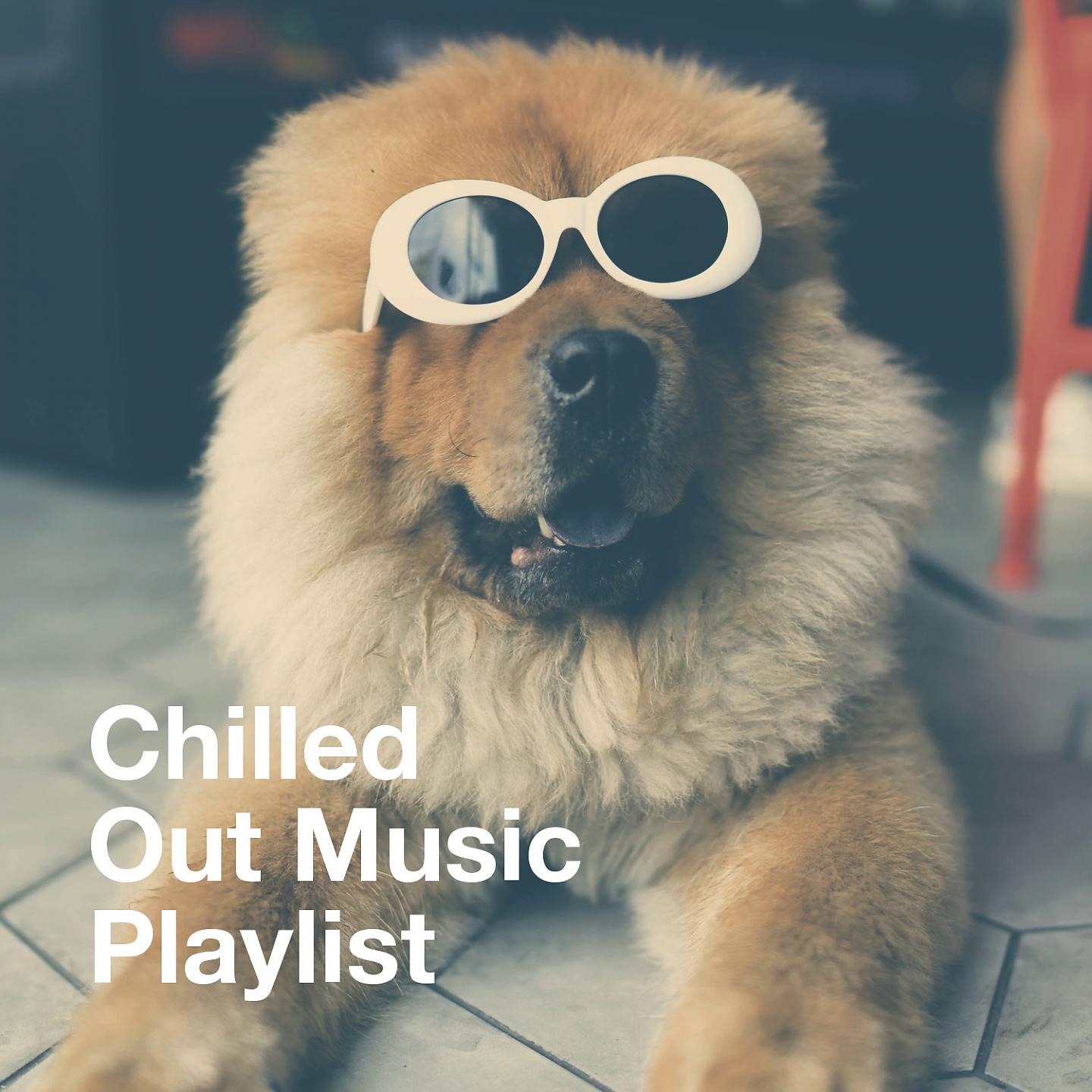 Постер альбома Chilled Out Music Playlist