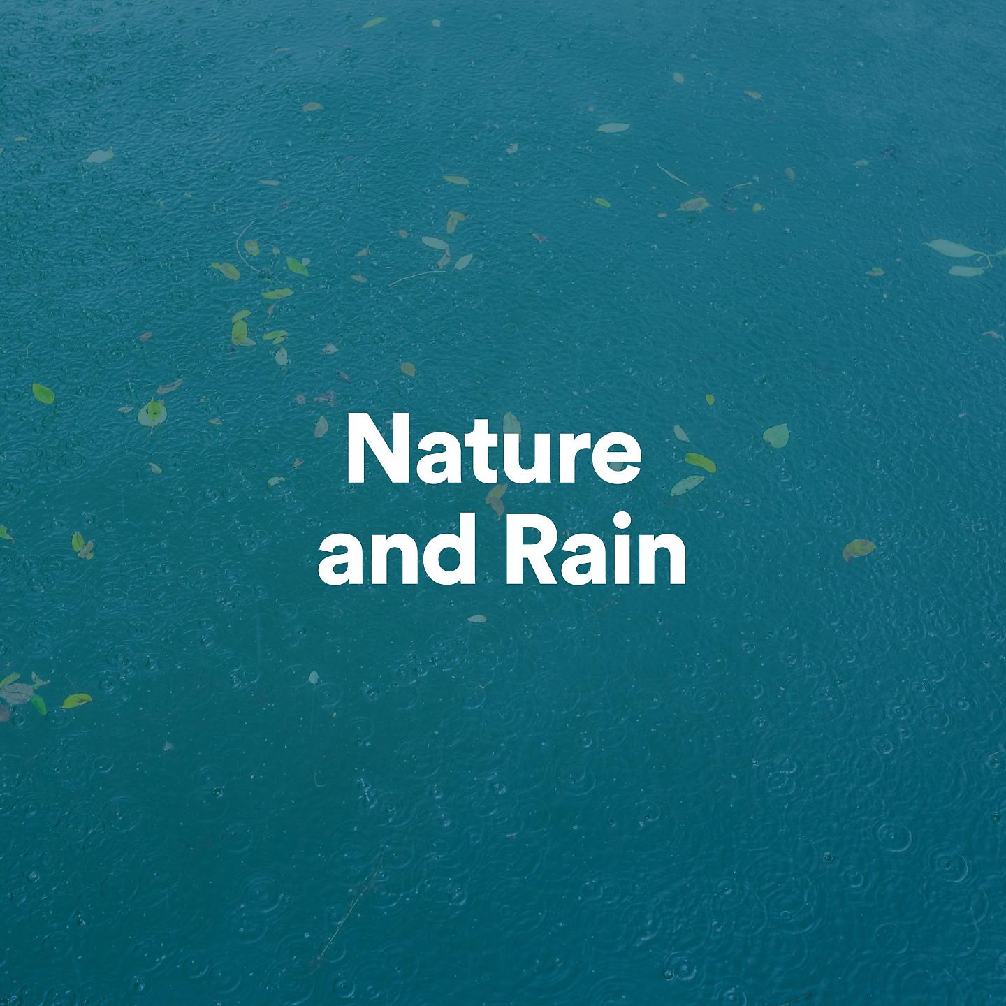 Постер альбома Nature and Rain