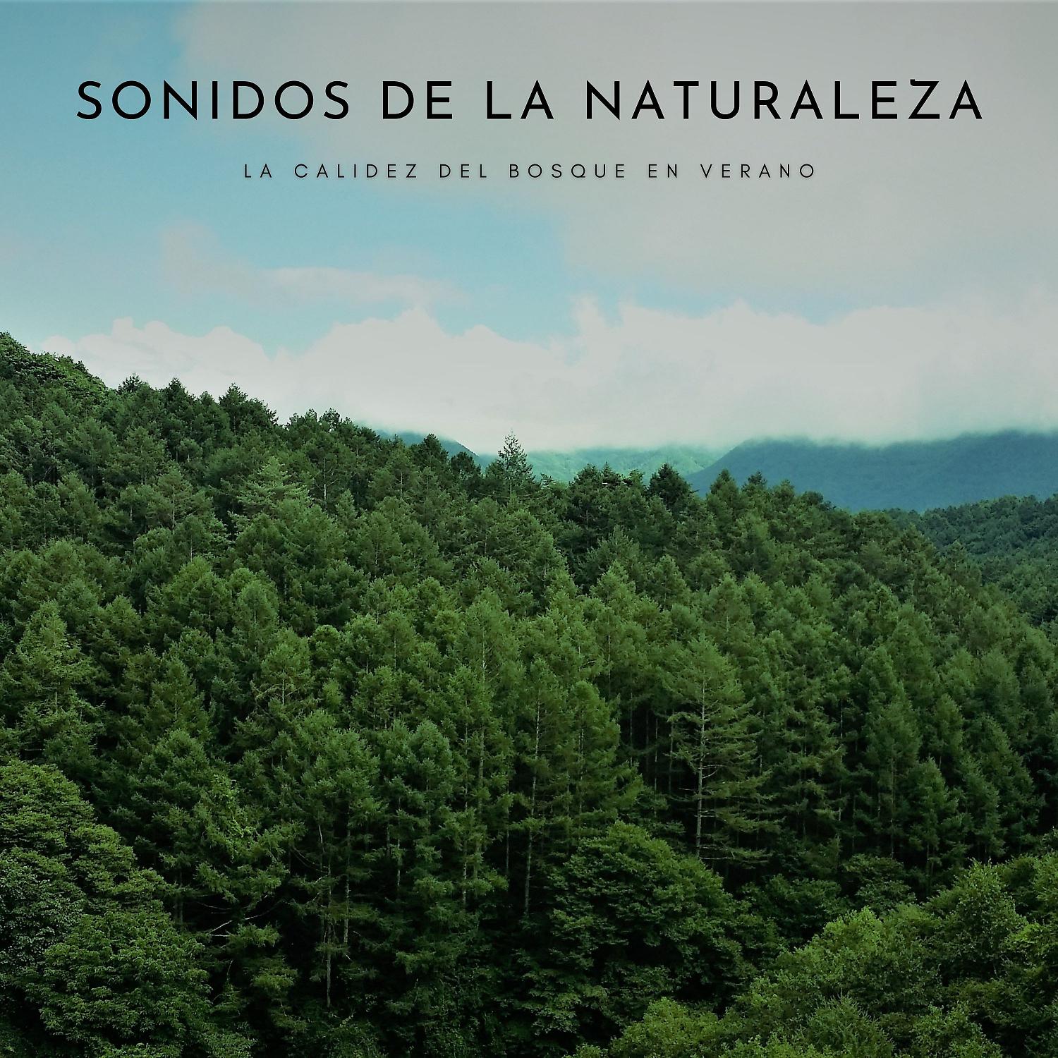 Постер альбома Sonidos De La Naturaleza: La Calidez Del Bosque En Verano