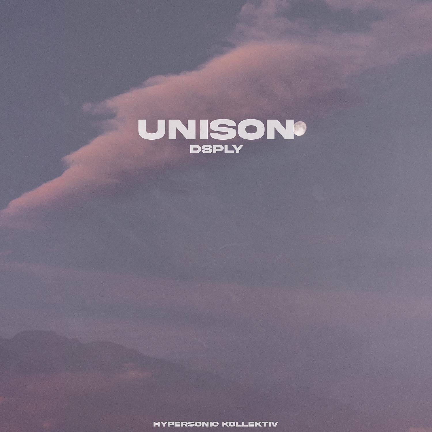 Постер альбома Unison