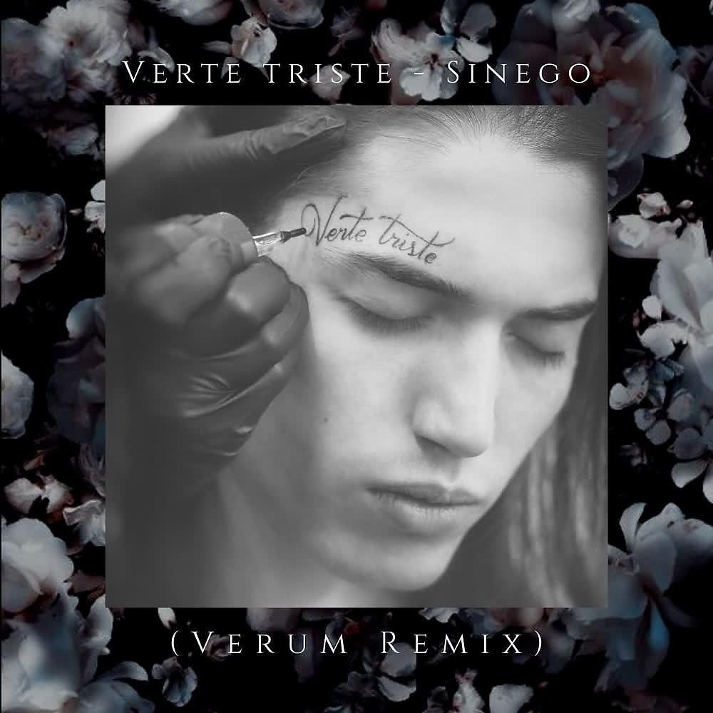 Постер альбома Verte Triste (Verum Remix)