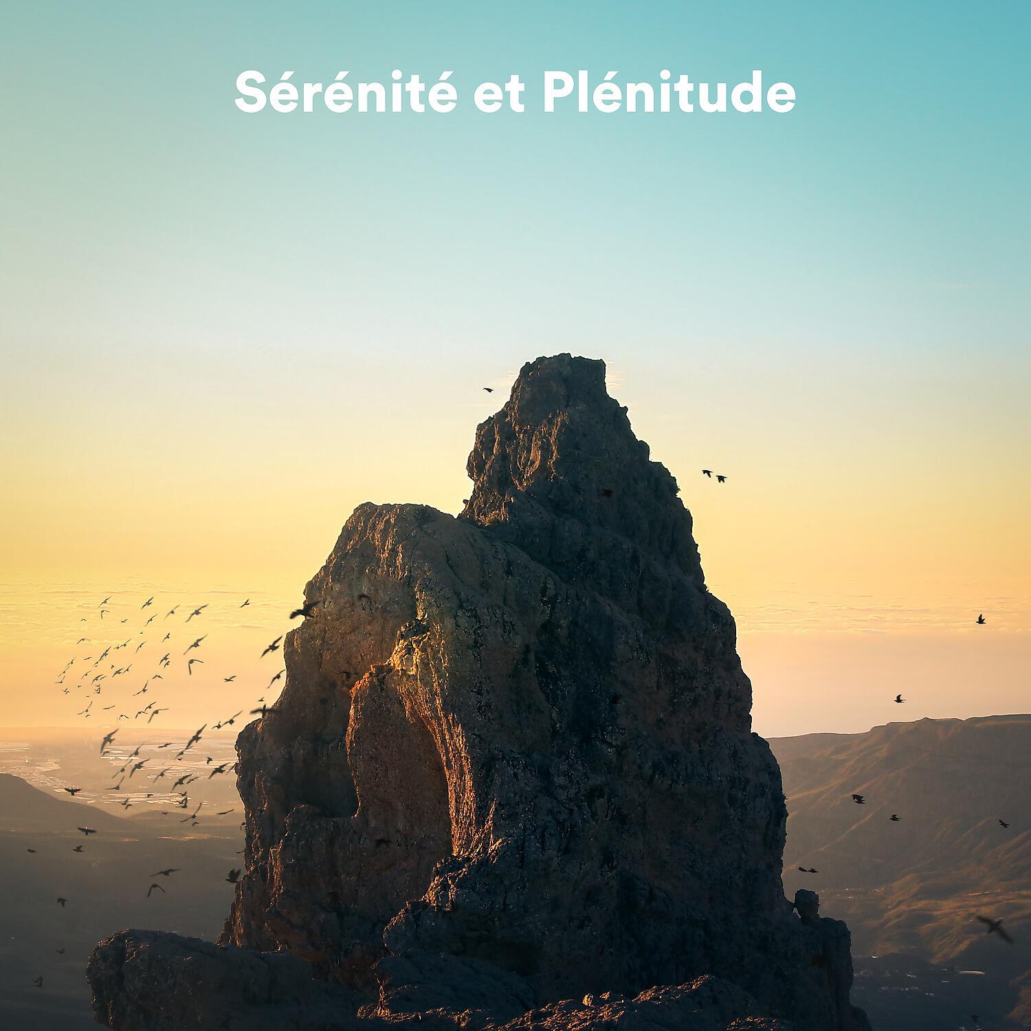 Relaxation Détente - Find Peace Within, Not Without