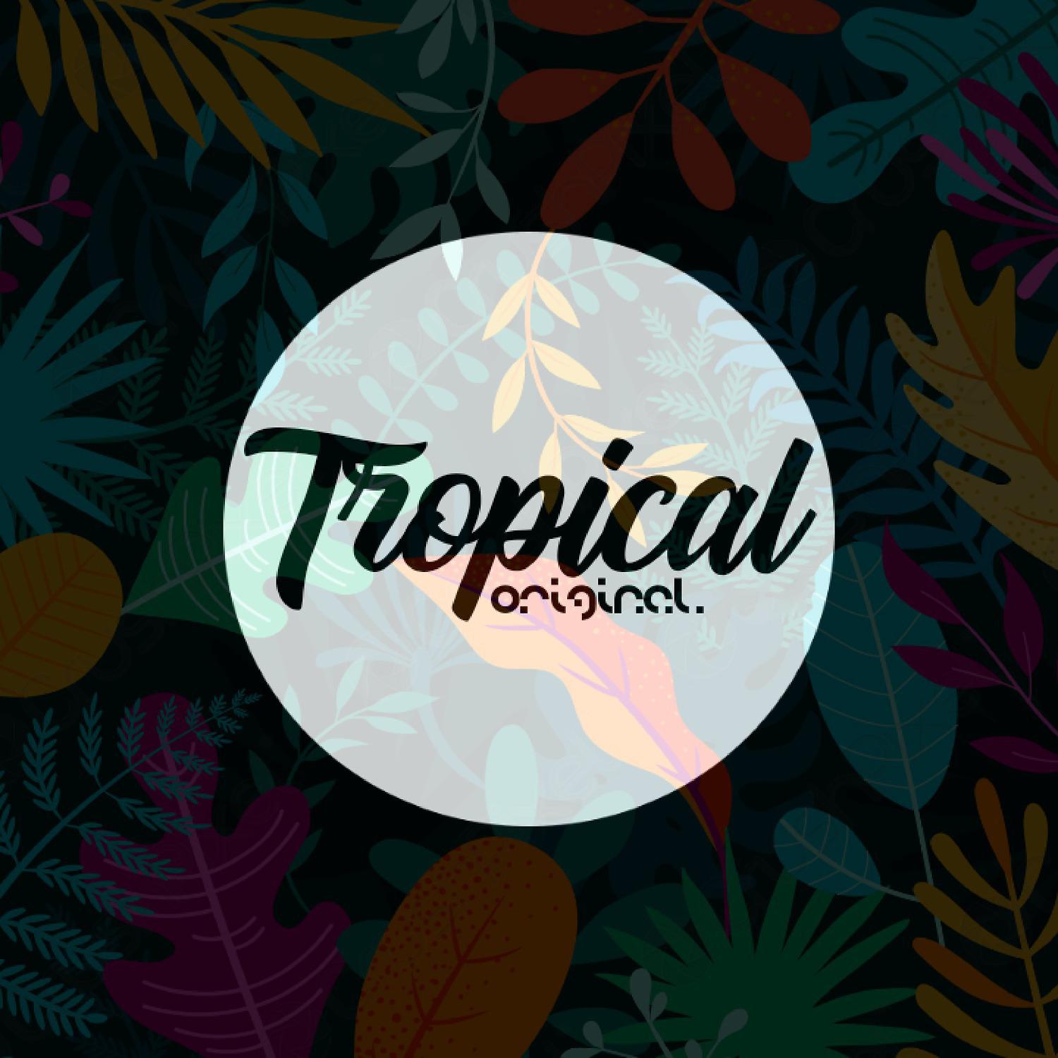 Постер альбома Tropical Original
