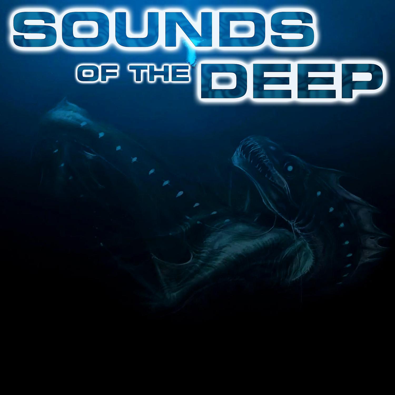 Постер альбома Sounds of the Deep (feat. White Noise Sounds For Sleep, Soothing Sounds, Soothing Baby Sounds, Nature Sounds New Age, Relaxing Nature Sound & National Geographic Nature Sounds)