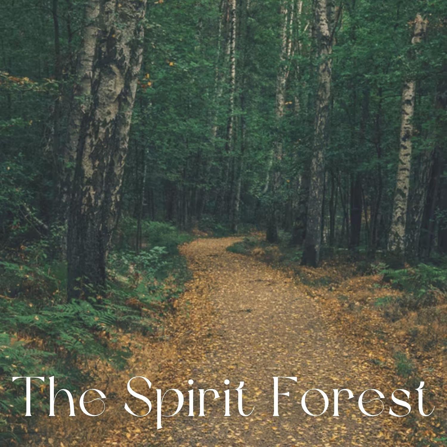Постер альбома The Spirit Forest