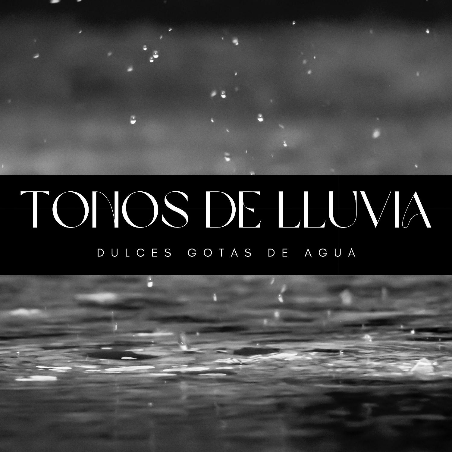 Постер альбома Tonos De Lluvia: Dulces Gotas De Agua