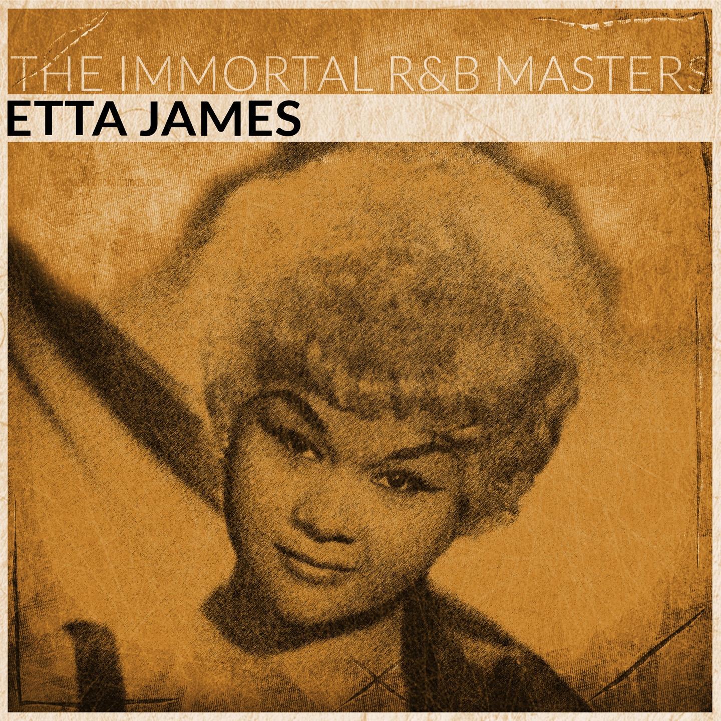 Постер альбома The Immortal R&B Masters (Remastered)