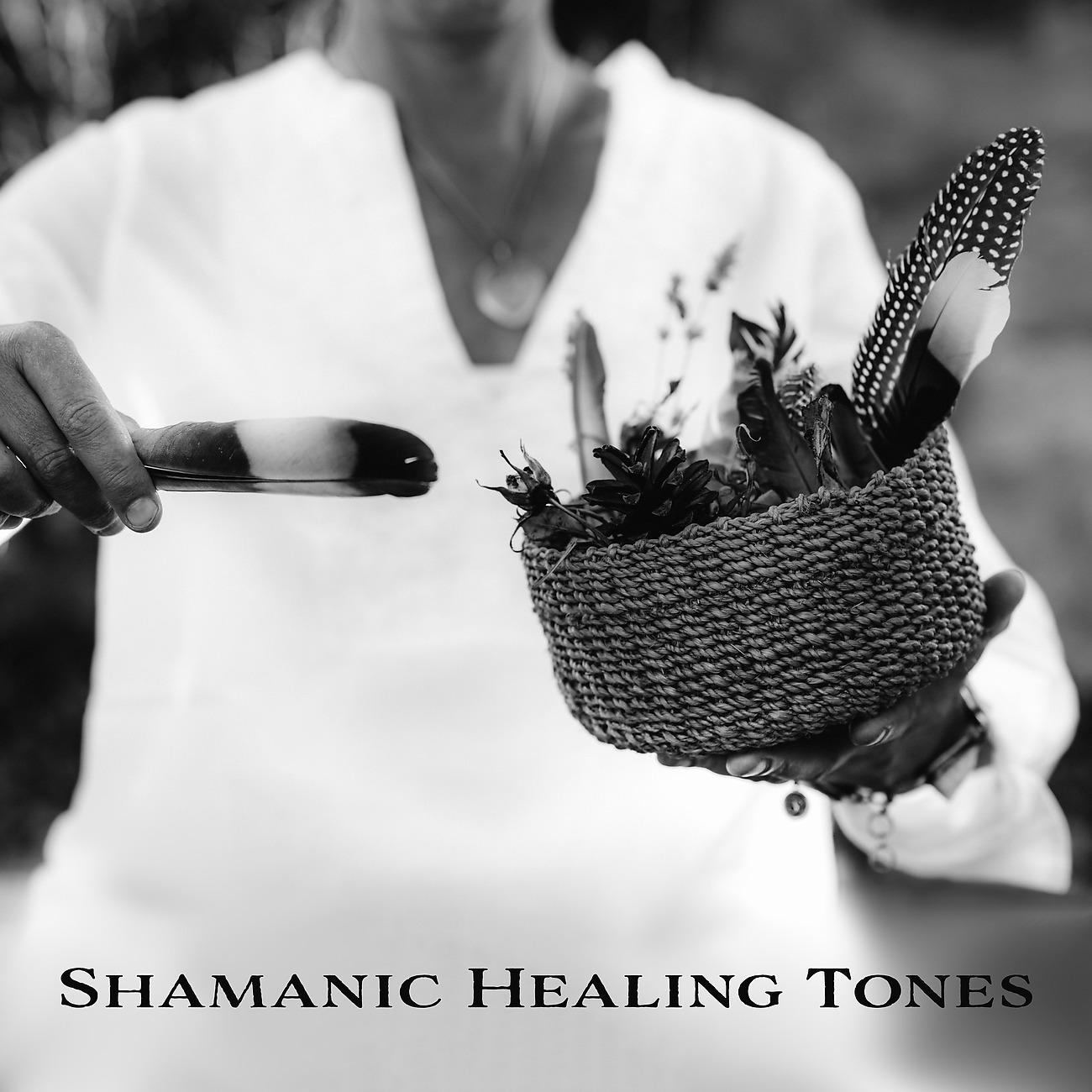 Постер альбома Shamanic Healing Tones