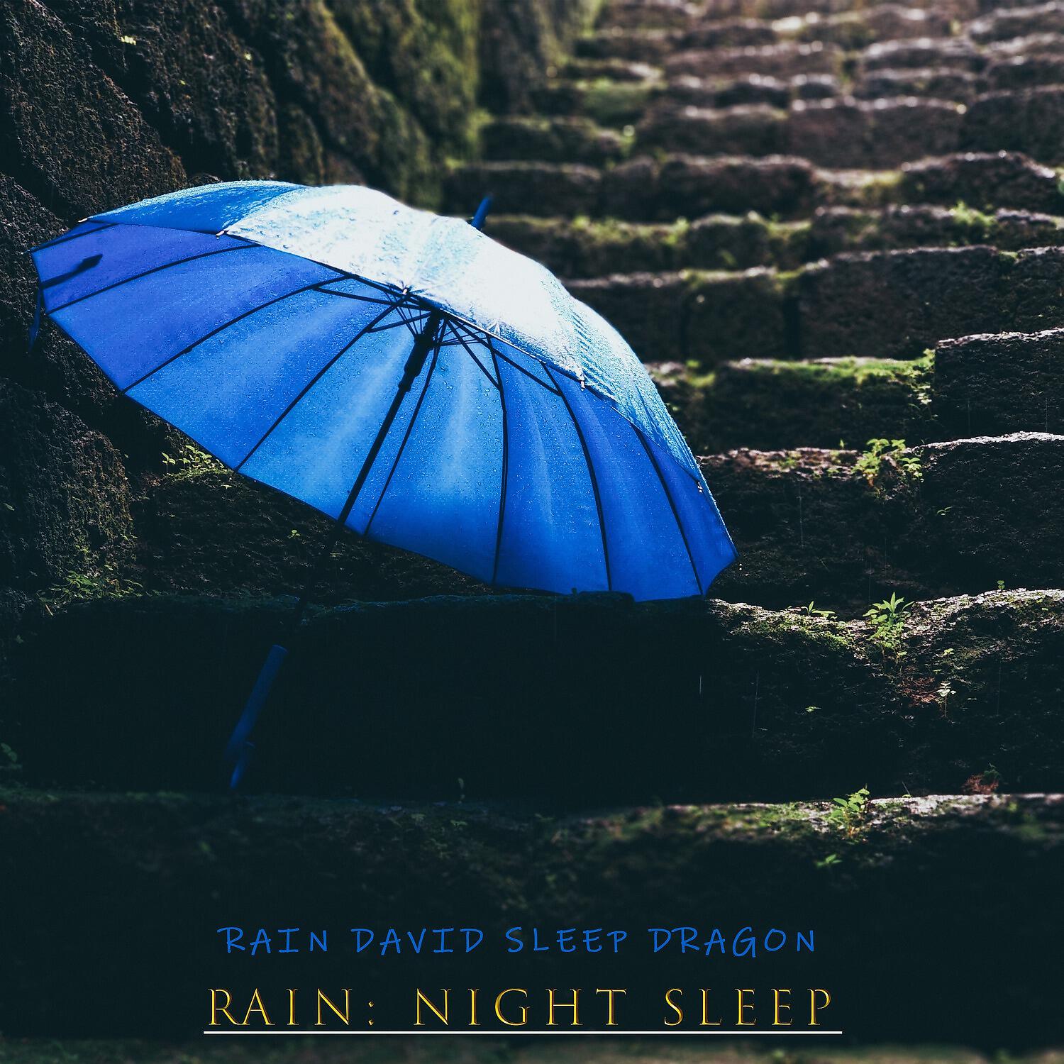 Rain David Sleep Dragon - Floating Rain
