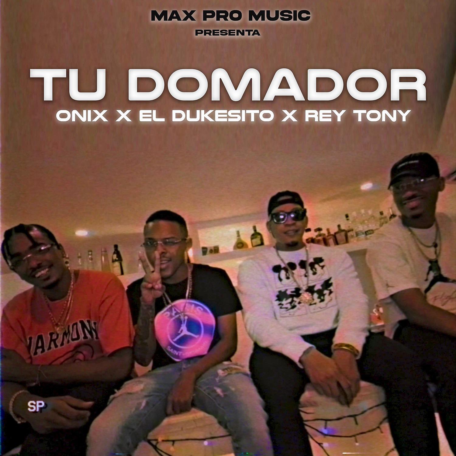 Постер альбома Tu Domador