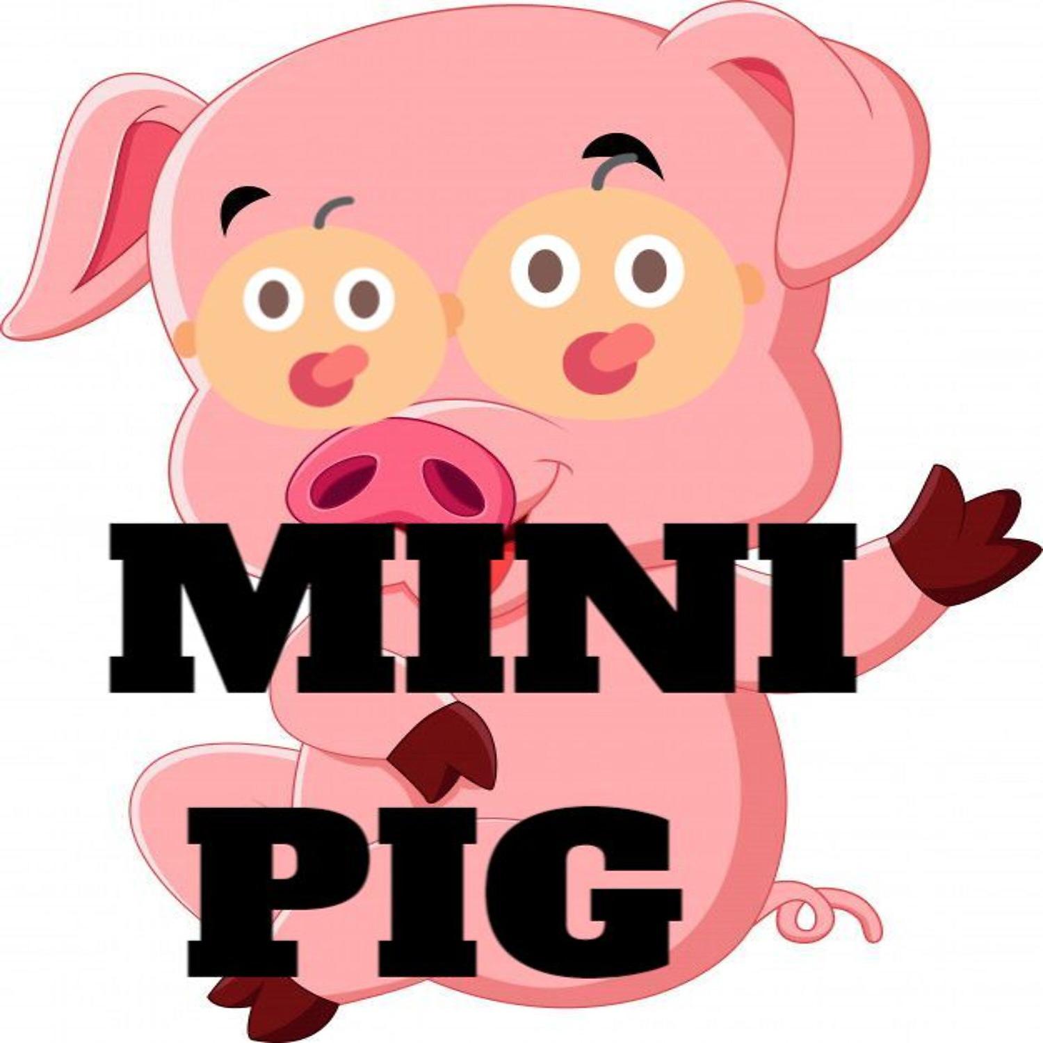 Постер альбома Mini Pig