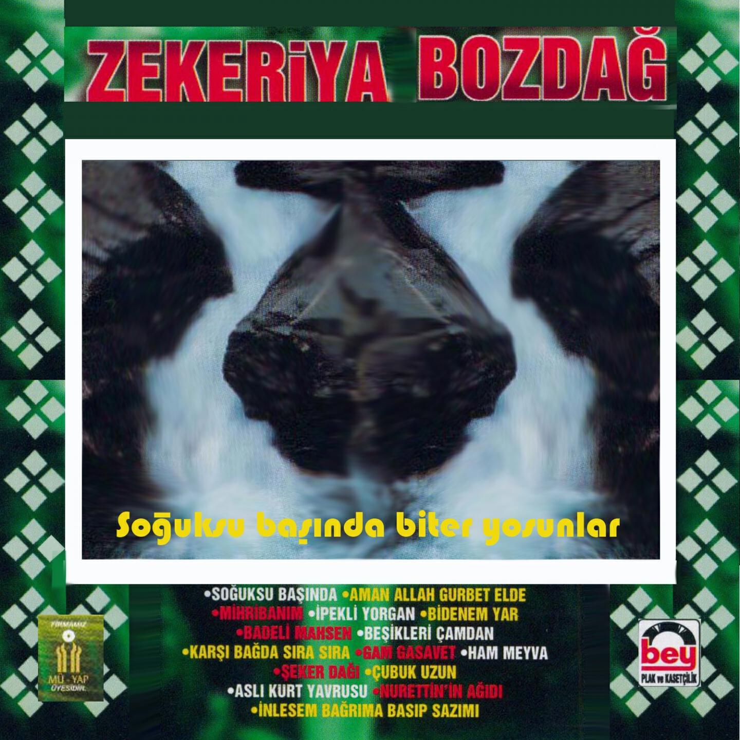 Zekeriya Bozdağ - İnlesem Bağrıma Basıp Sazımı