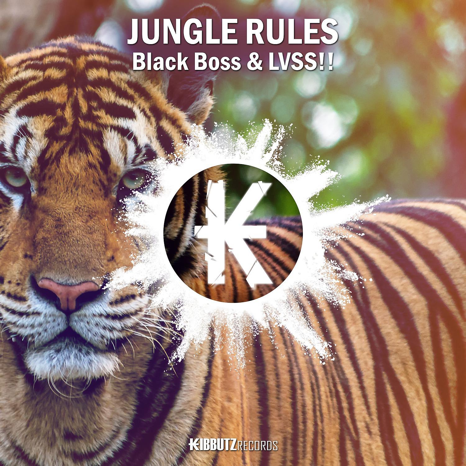 Постер альбома Jungle Rules