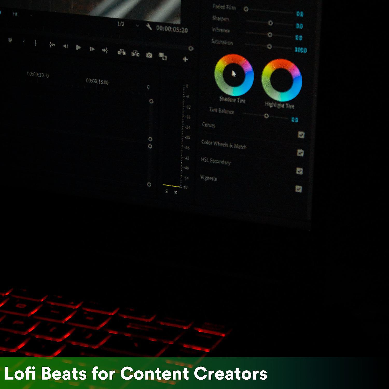 Постер альбома Lofi Beats for Content Creators