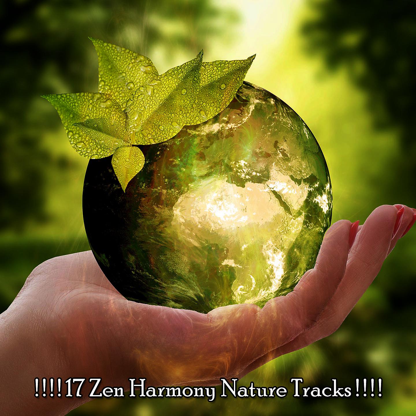 Постер альбома ! ! ! ! 17 природных дорожек дзен-гармонии! ! ! !
