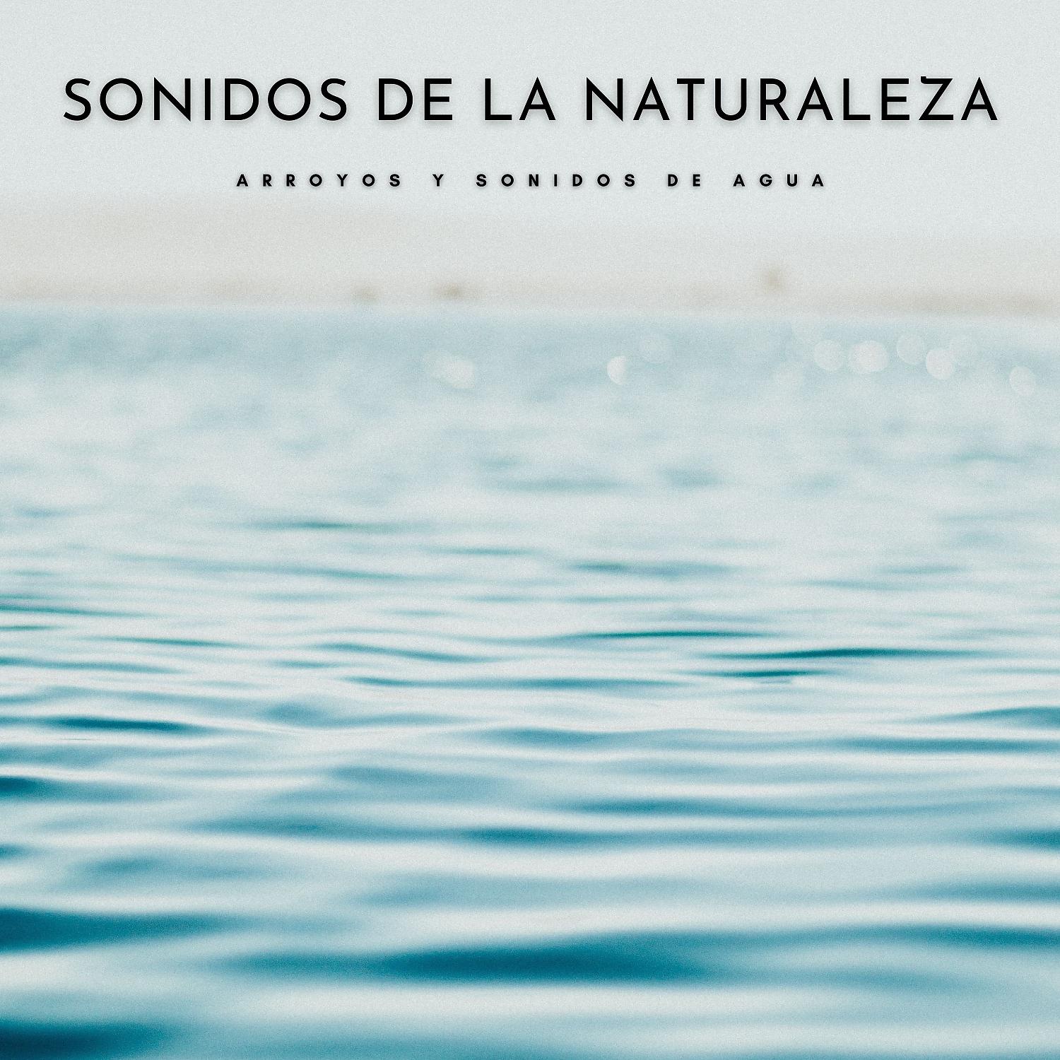 Постер альбома Sonidos De La Naturaleza: Arroyos y Sonidos De Agua
