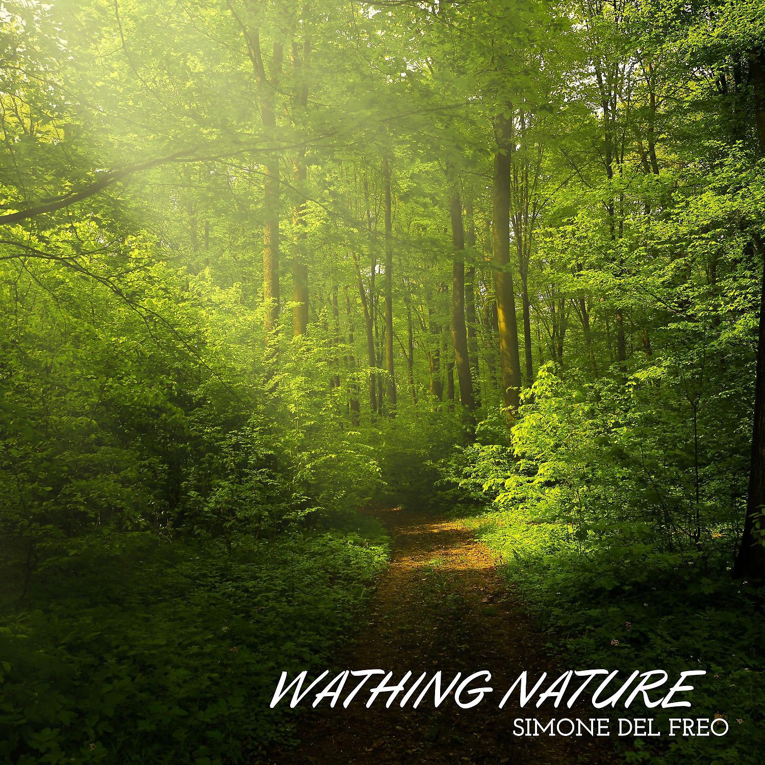 Постер альбома Watching Nature