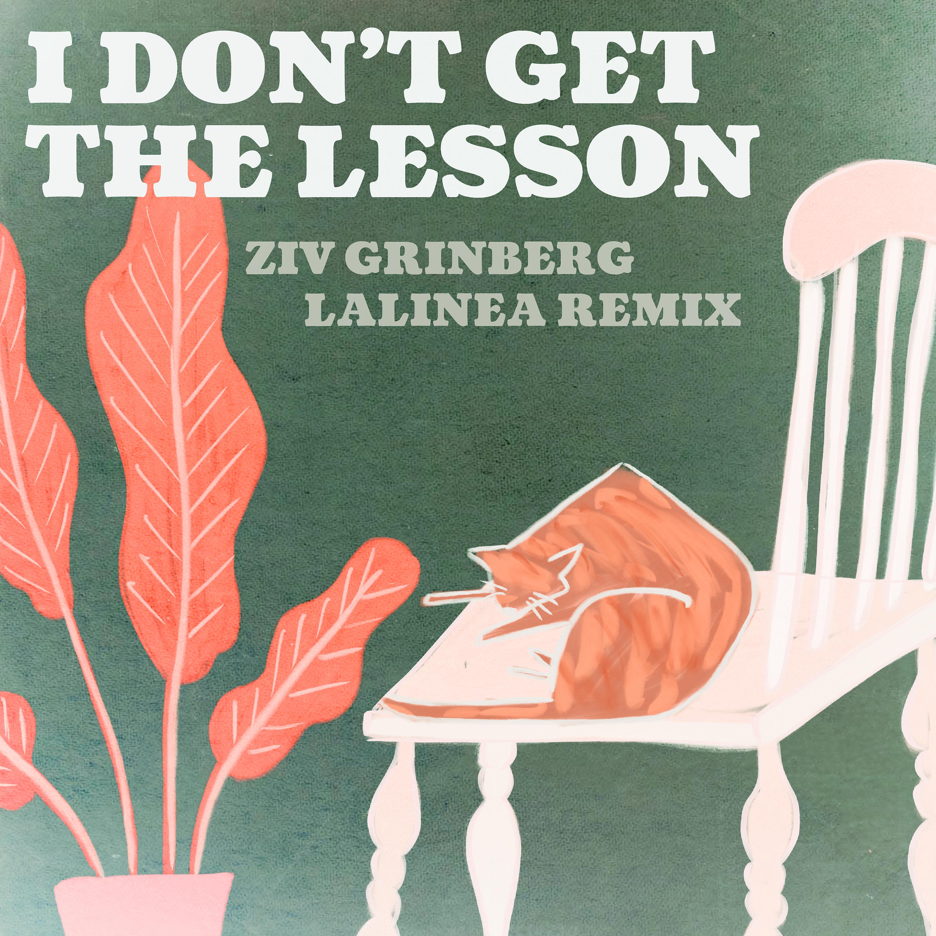 Постер альбома I Don't Get the Lesson - Lalinea Remix